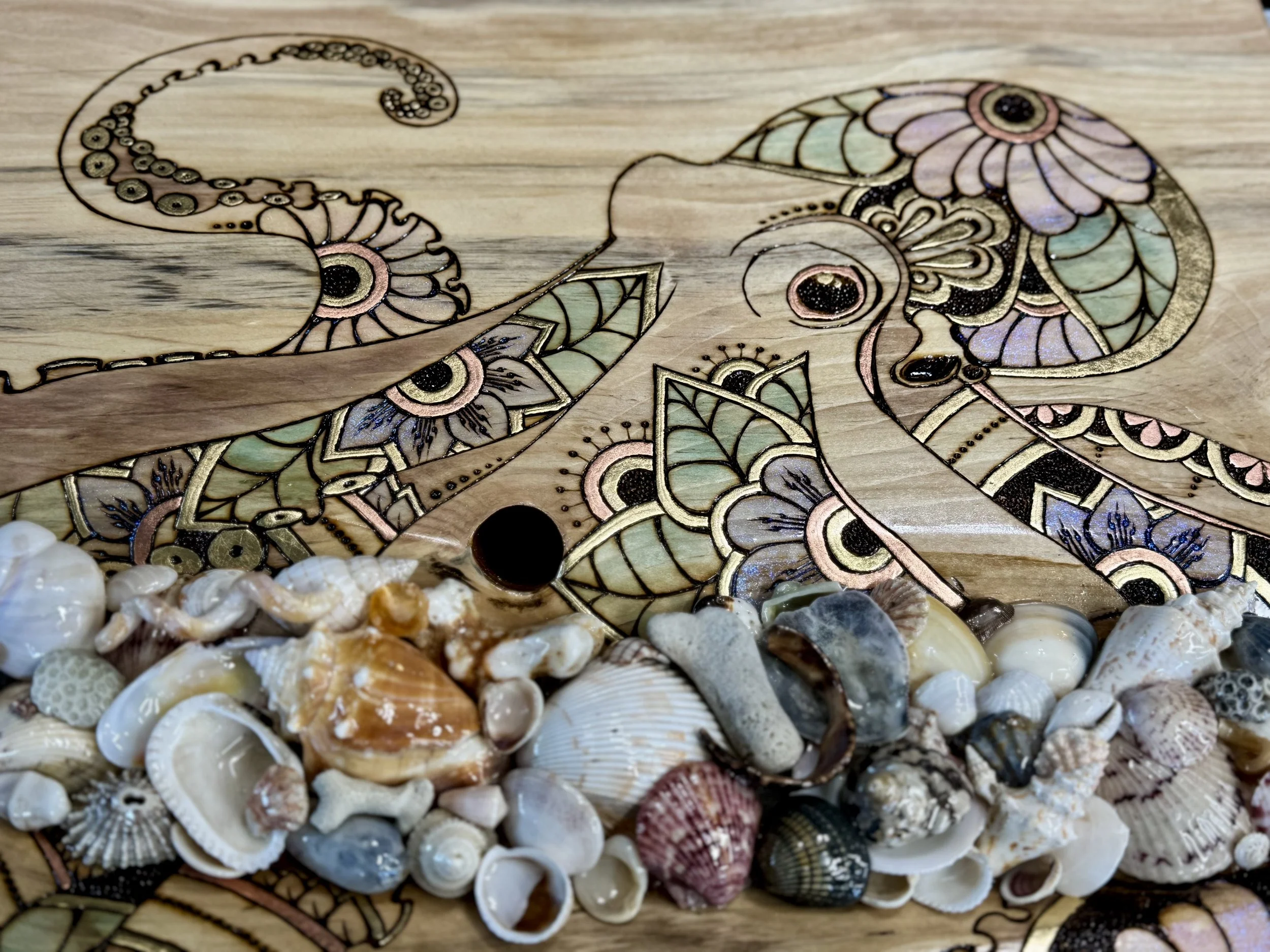 Gallery ready shell wall art crafted on aspen wood