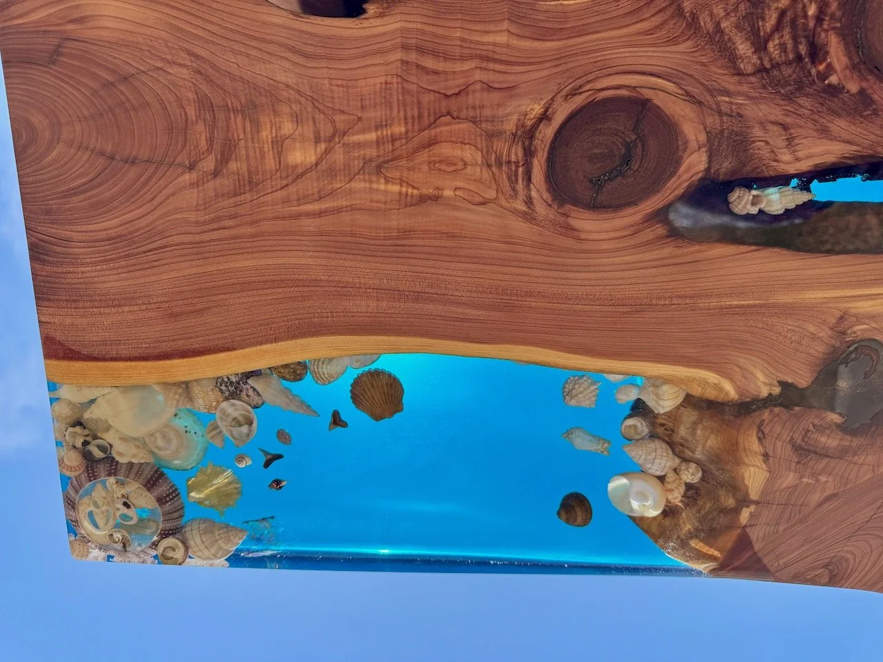 Reflections in the resin surface highlighting depth and transparency.