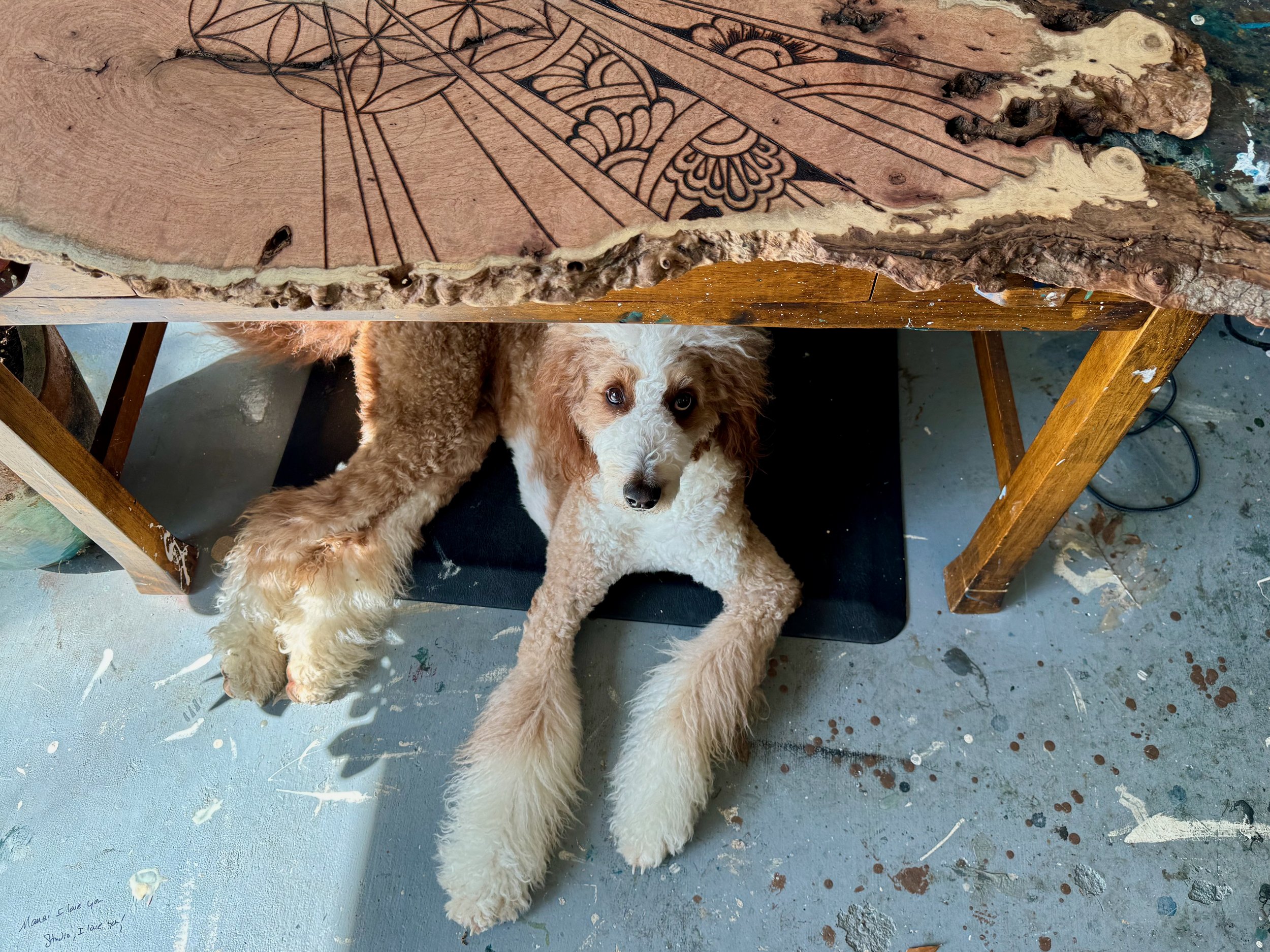 Original wall art by Anne Shackelford featuring clear quartz crystals embedded in resin.