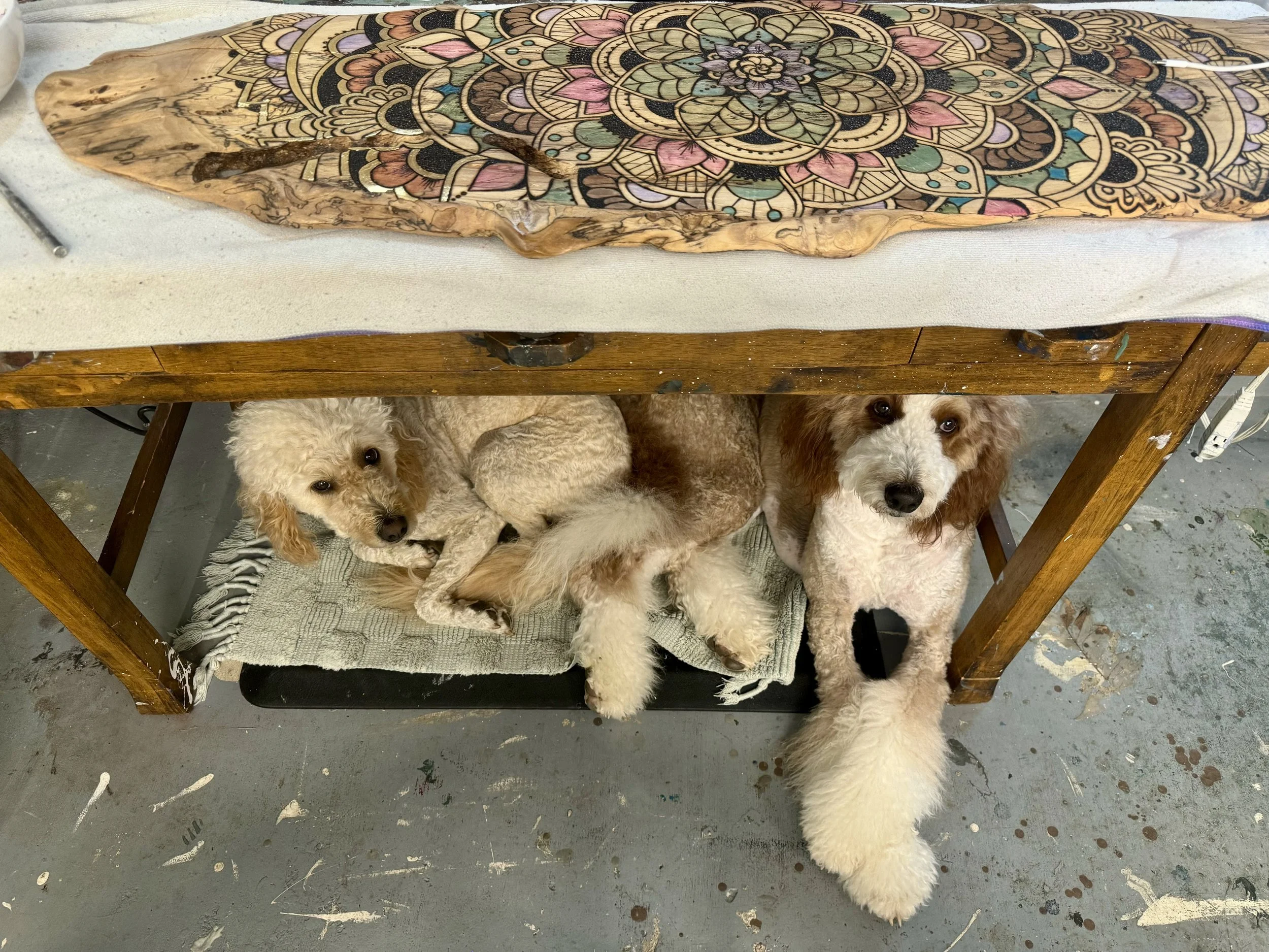 Original elm mandala wall art with living geometry