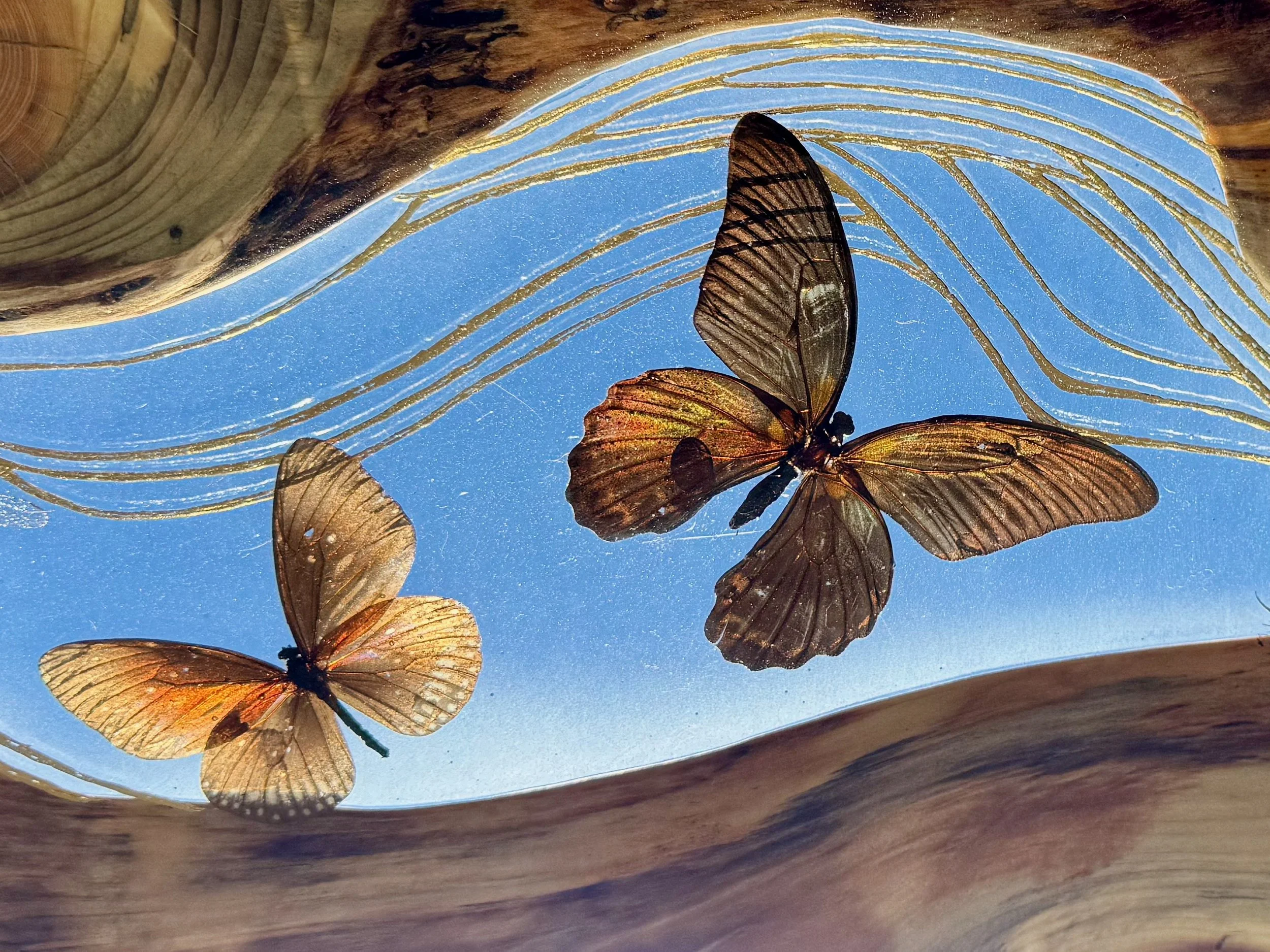 Luminous mixed media wall art Lovers Carvings by Austin artist Anne Shackelford.