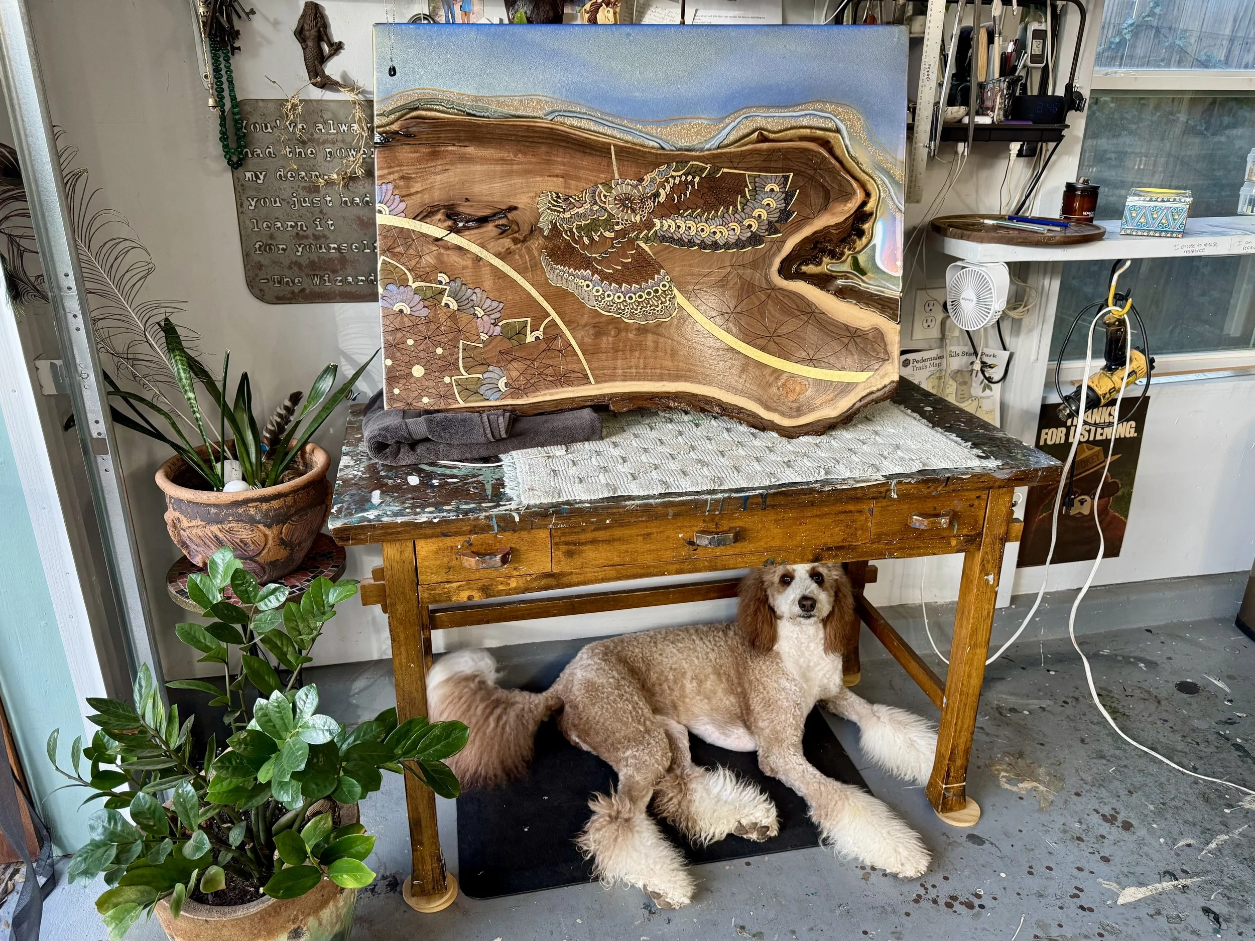 Symbolic owl wall art with surrounding geometric patterning