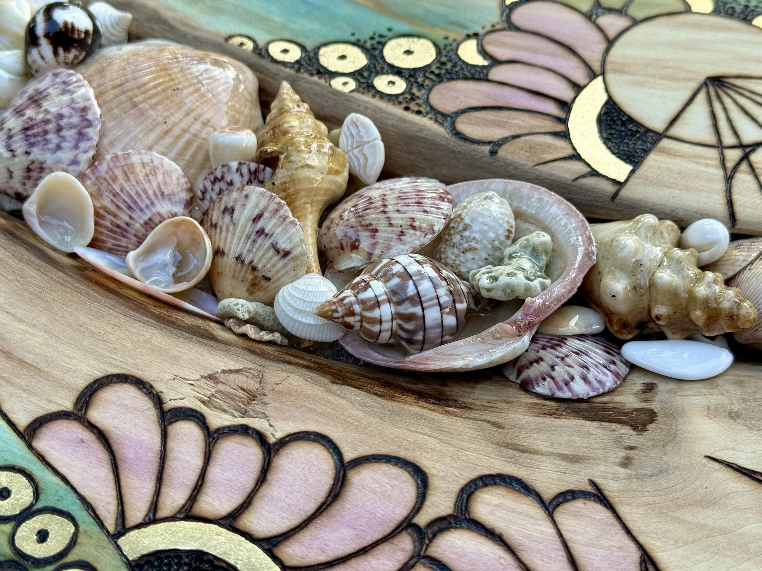 Original wall art by Austin Texas artist incorporating family collected shells