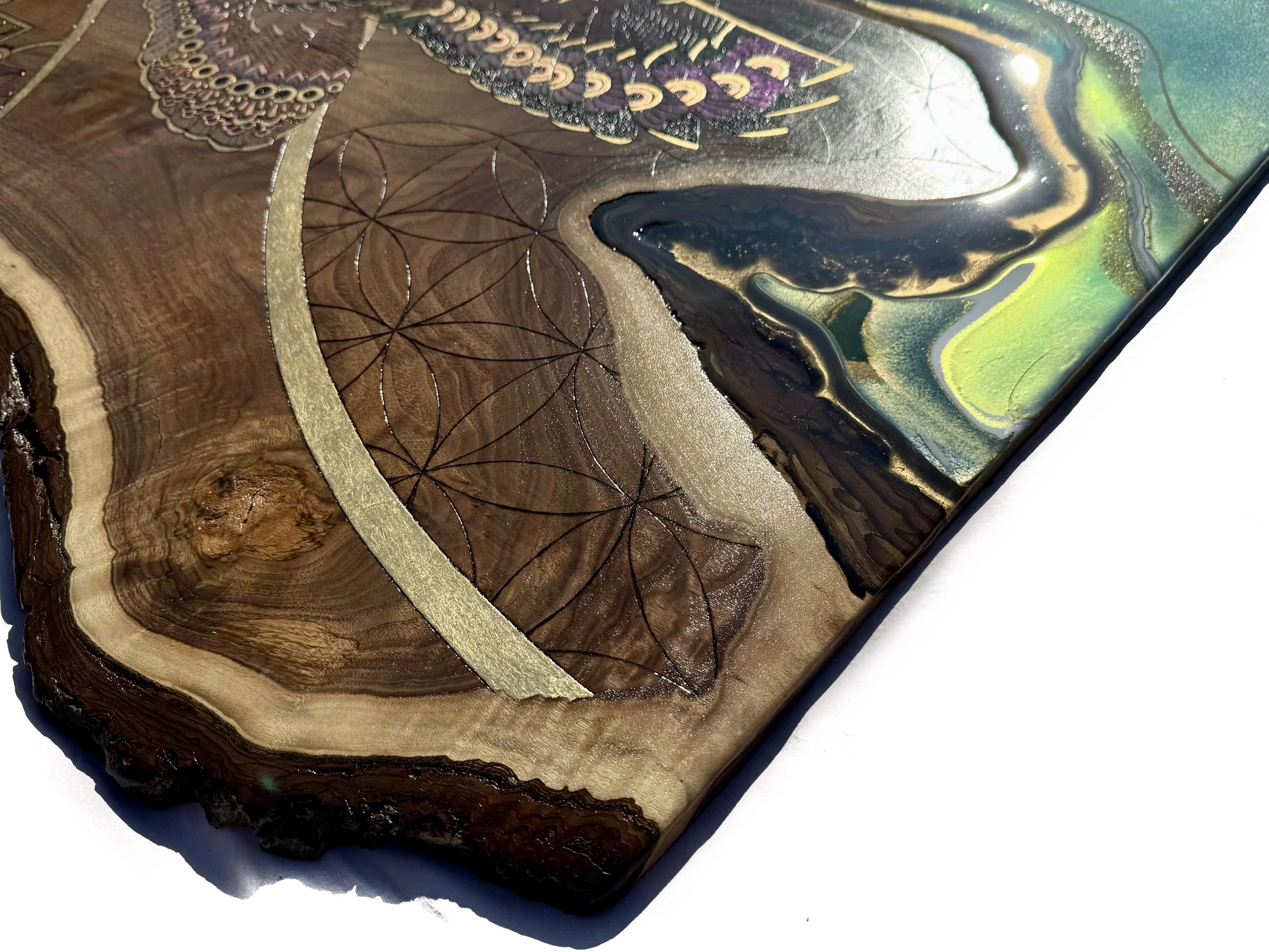 Luminous mixed media owl wall art on walnut gallery Texas