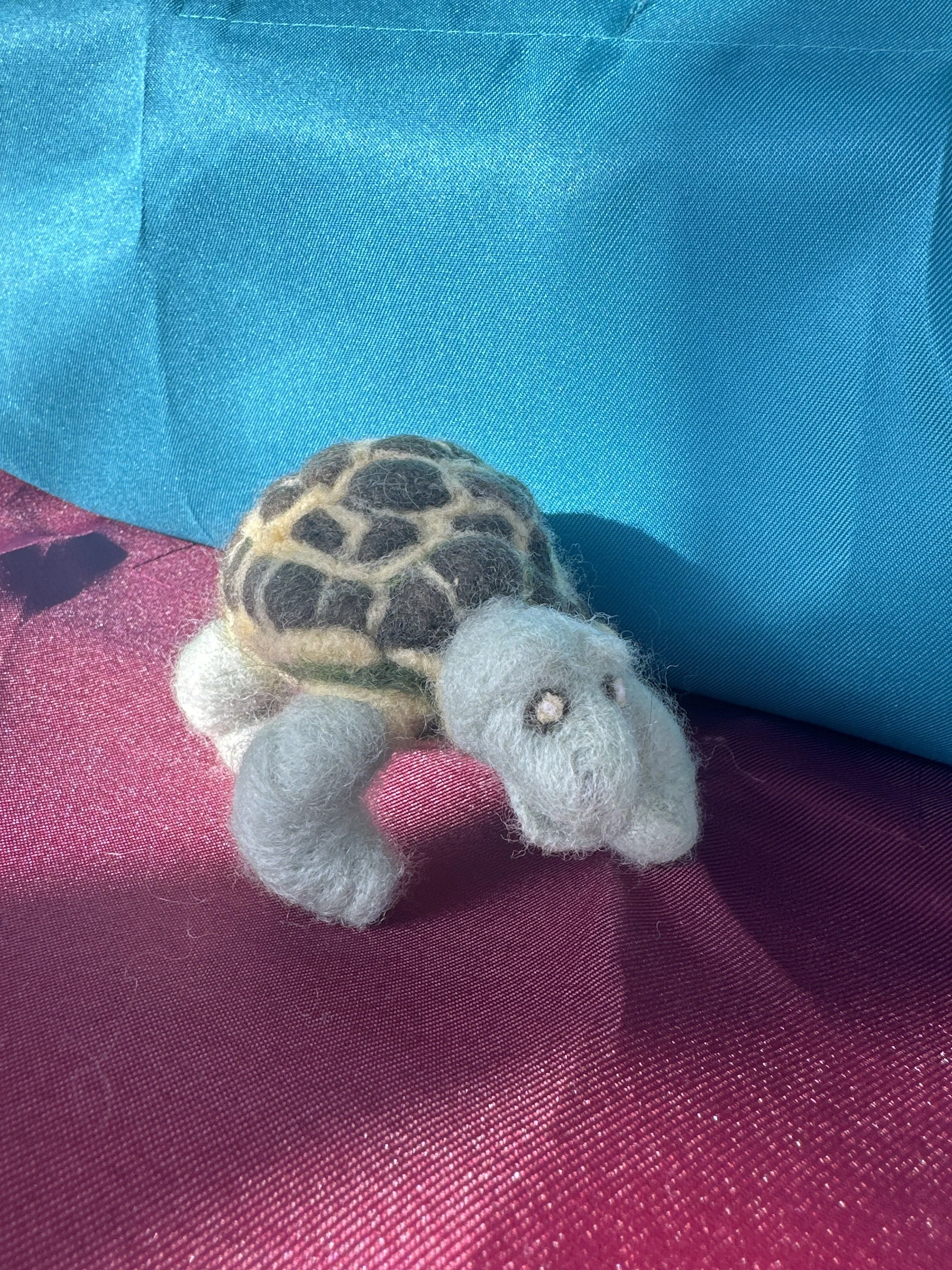 Needle Felted Turtle