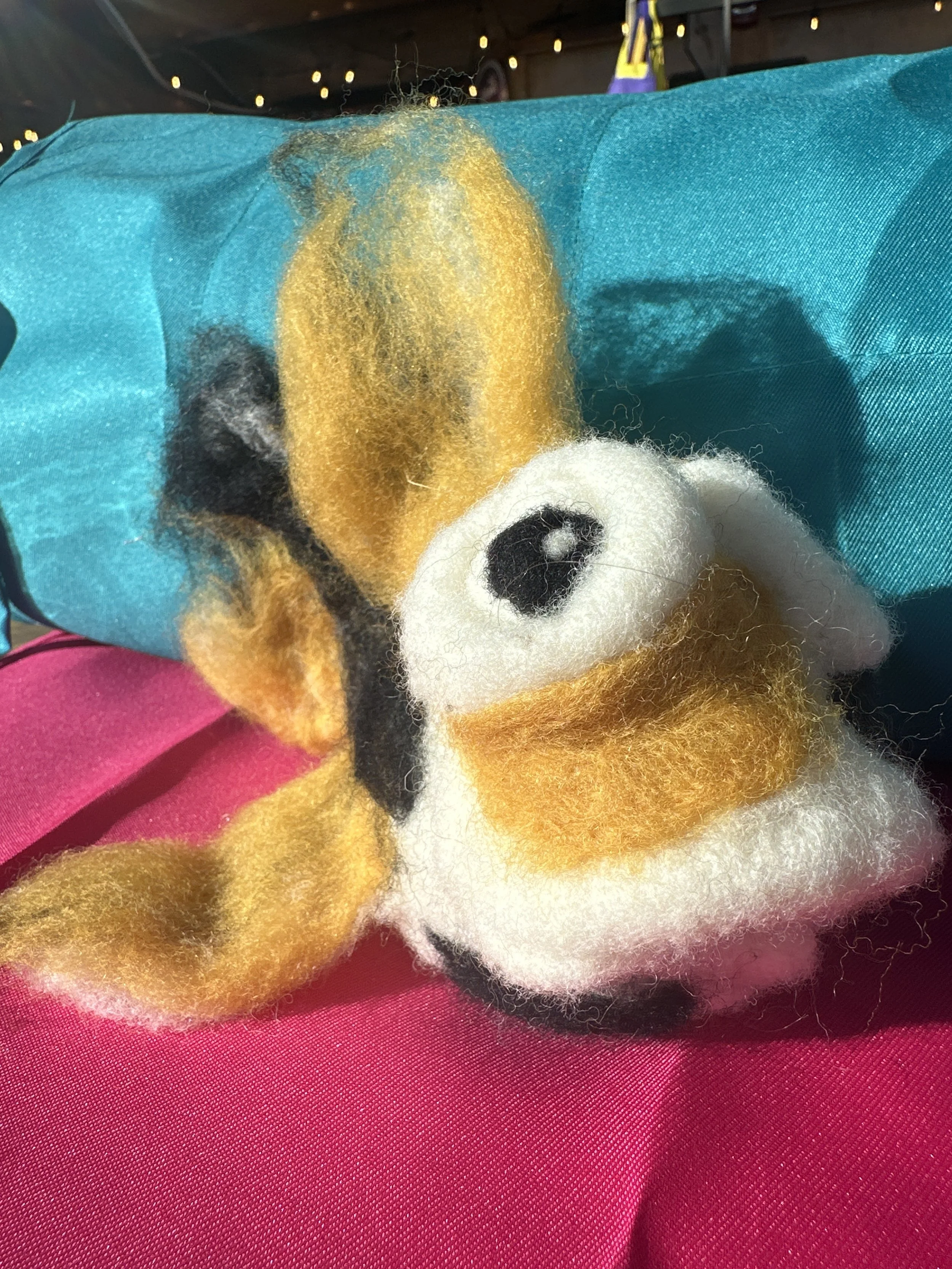 image_6209779 (19).JPG