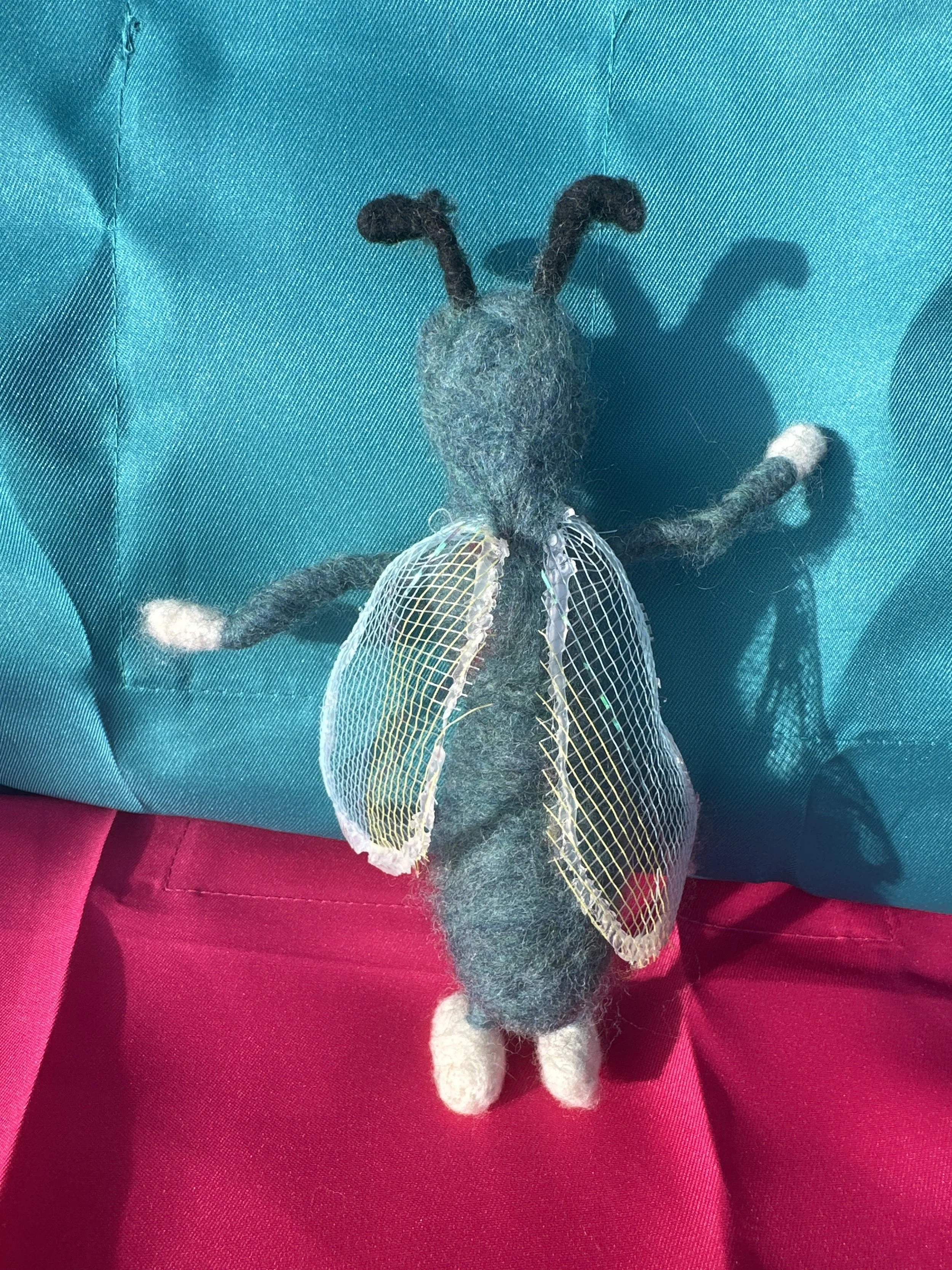 image_6209779 (1).JPG