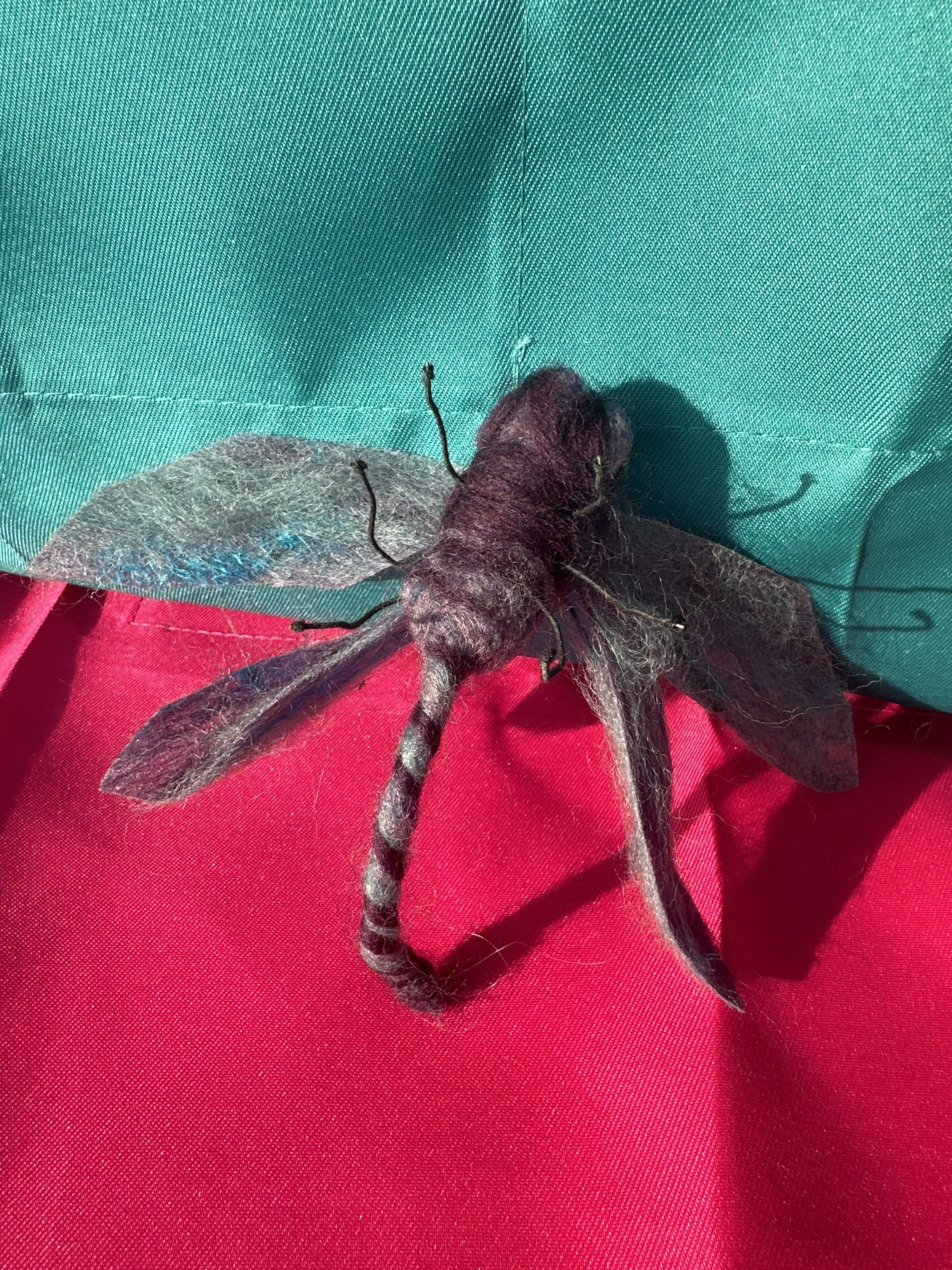 image_6209779 (3).JPG