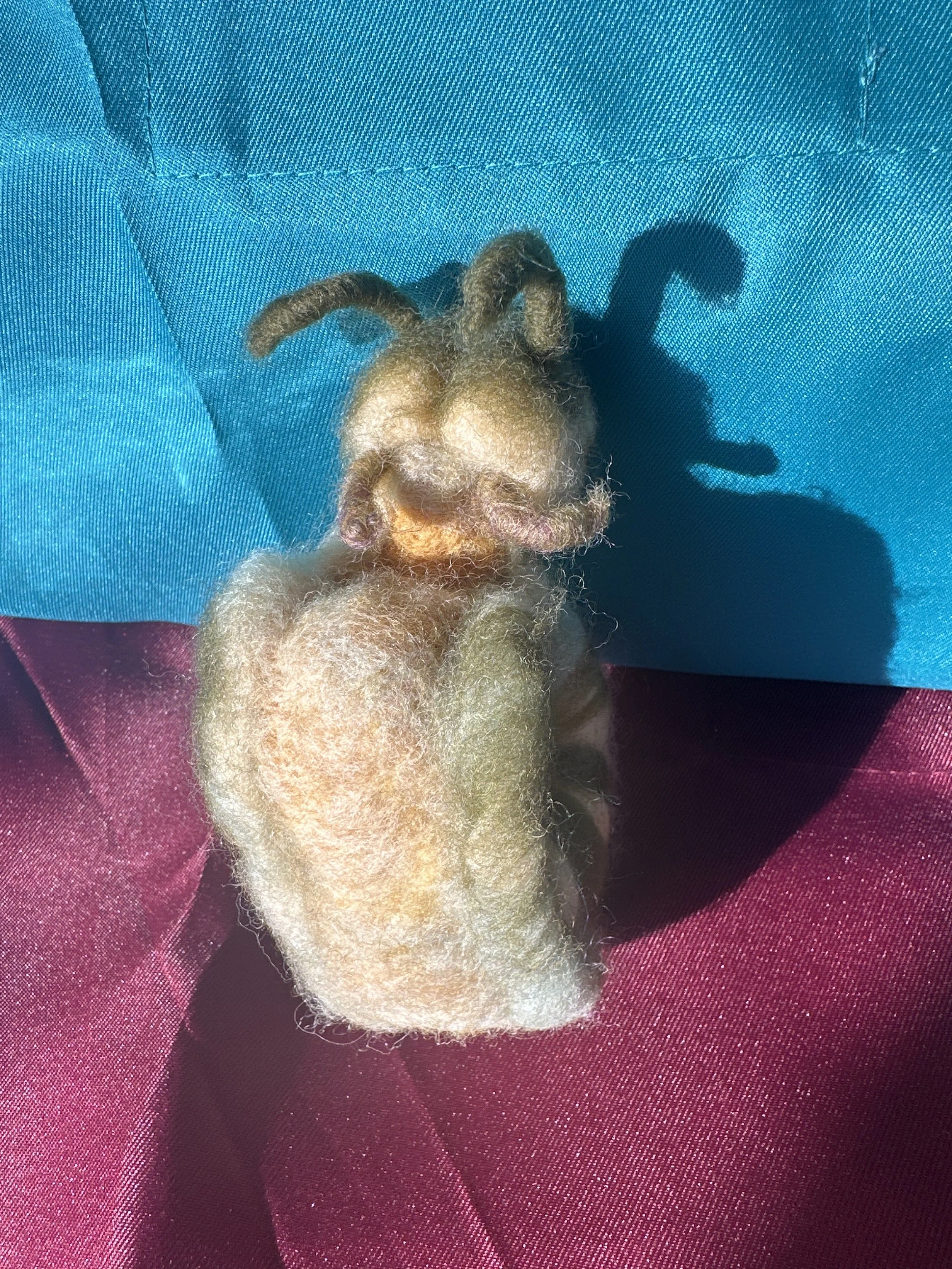 image_6209779 (27).JPG