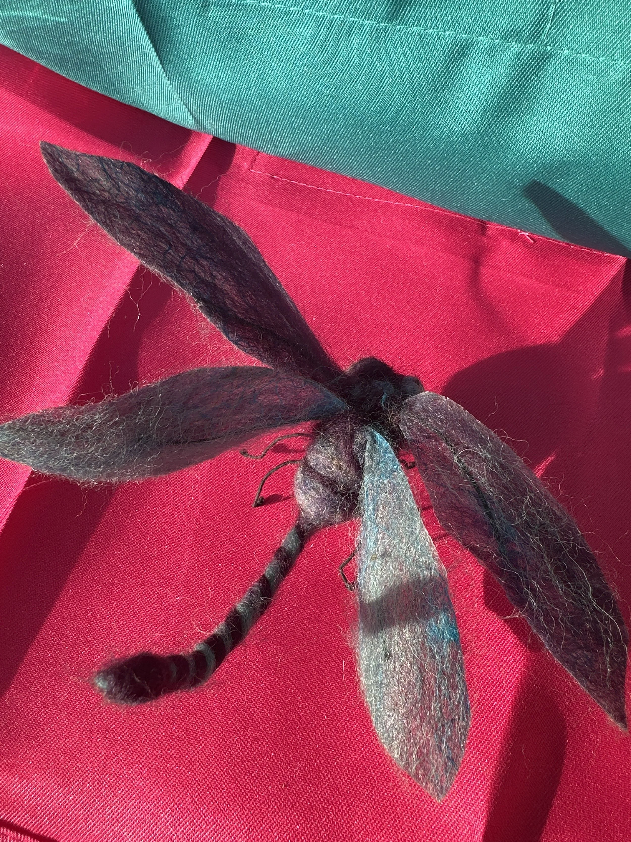 image_6209779 (4).JPG