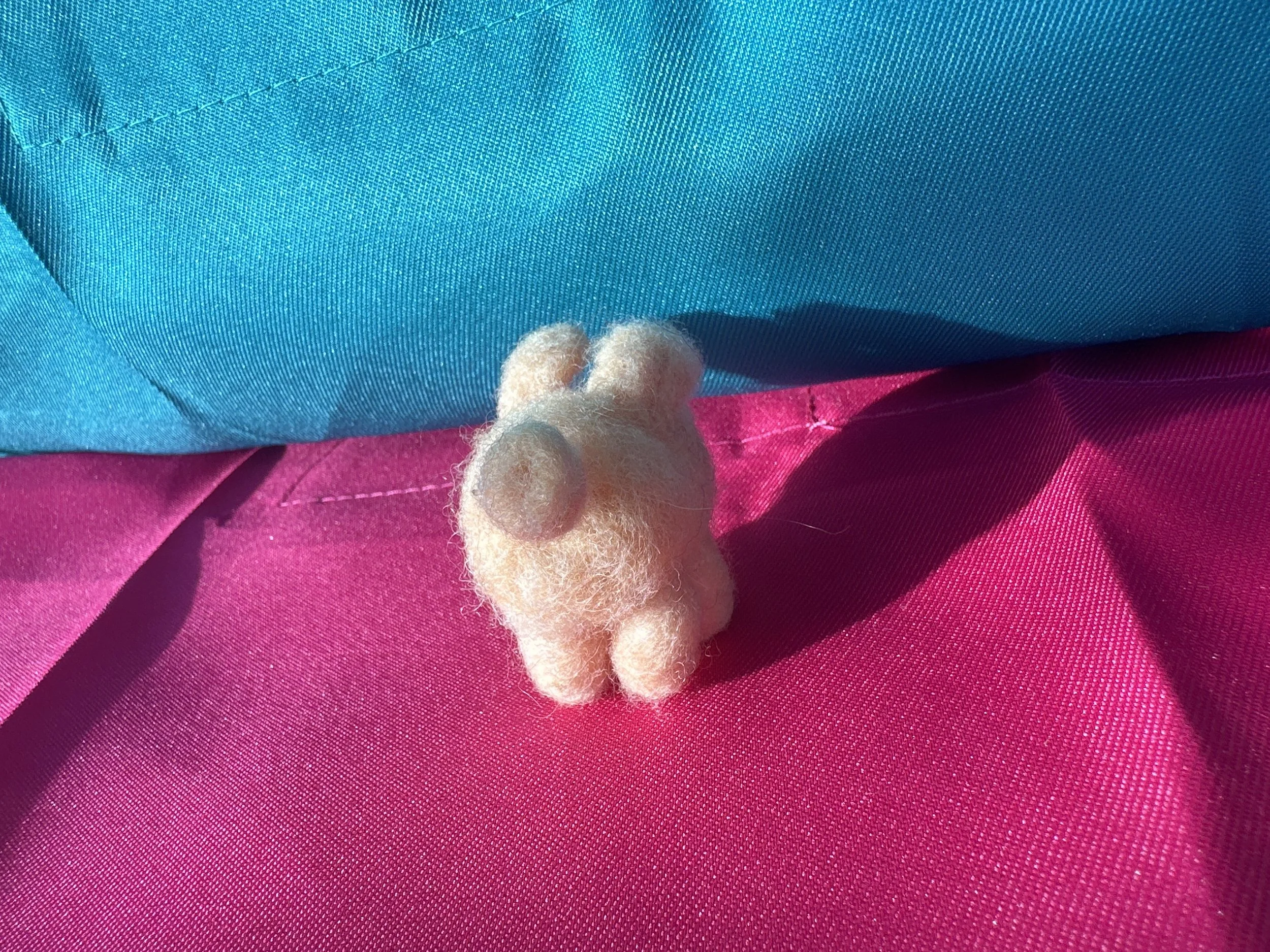 image_90095859 (2).JPG