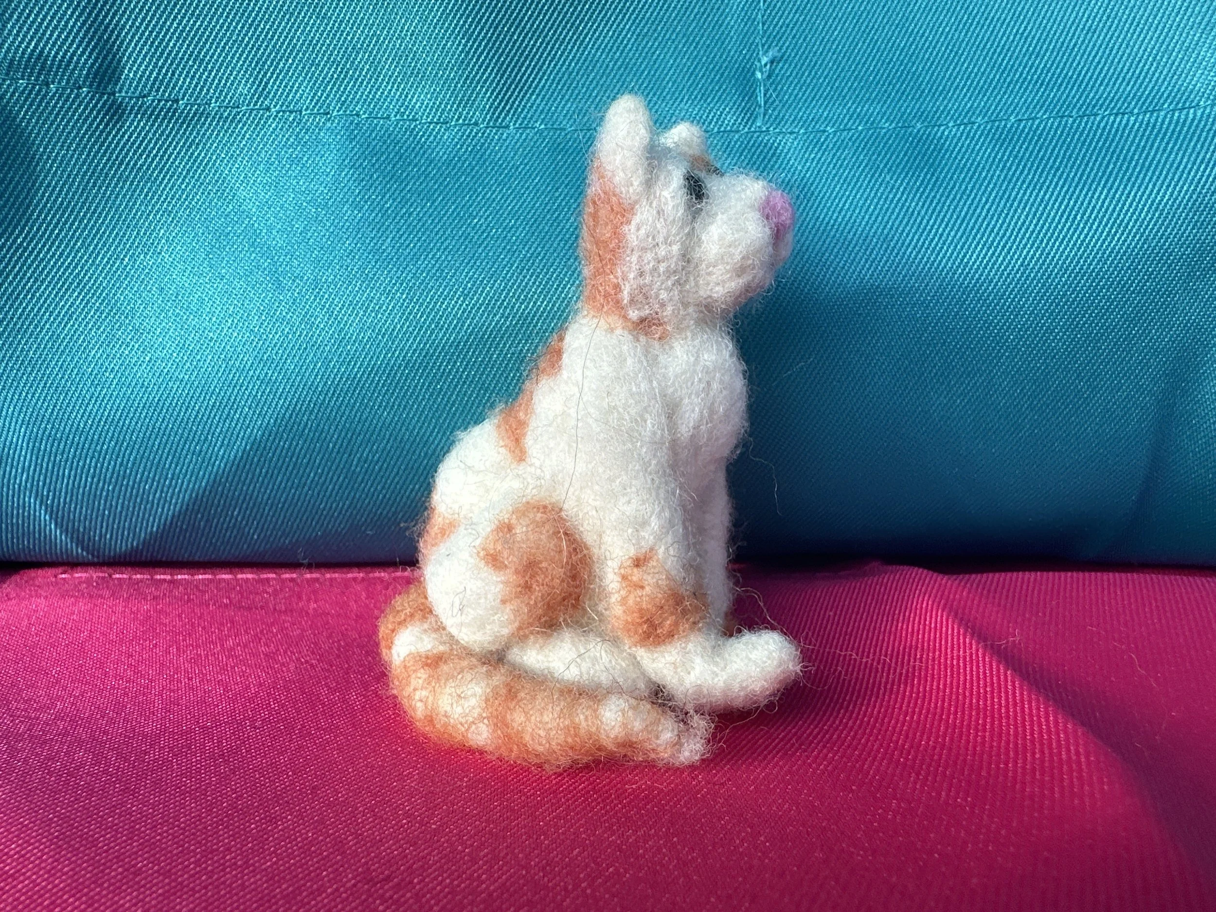 image_123650291 (13).JPG