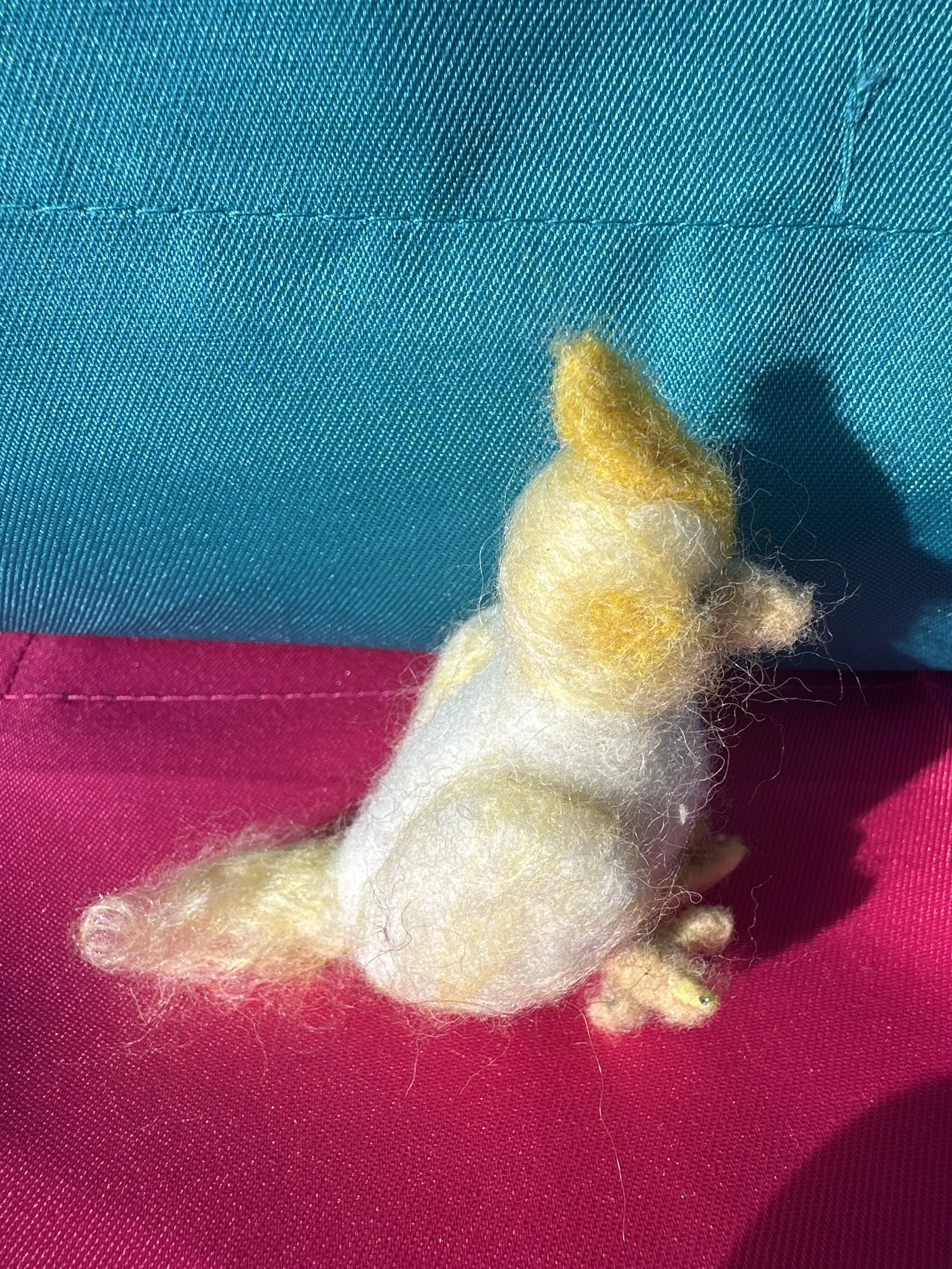 image_6209779 (1).JPG