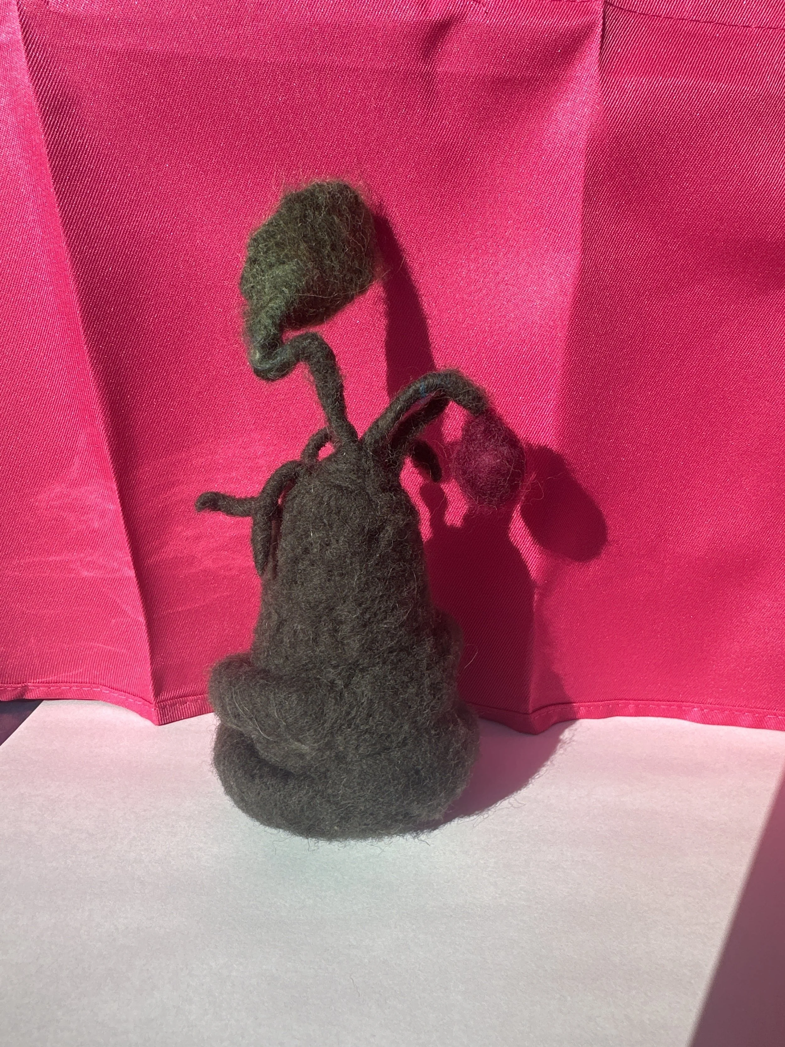 image_6209779 (35).JPG