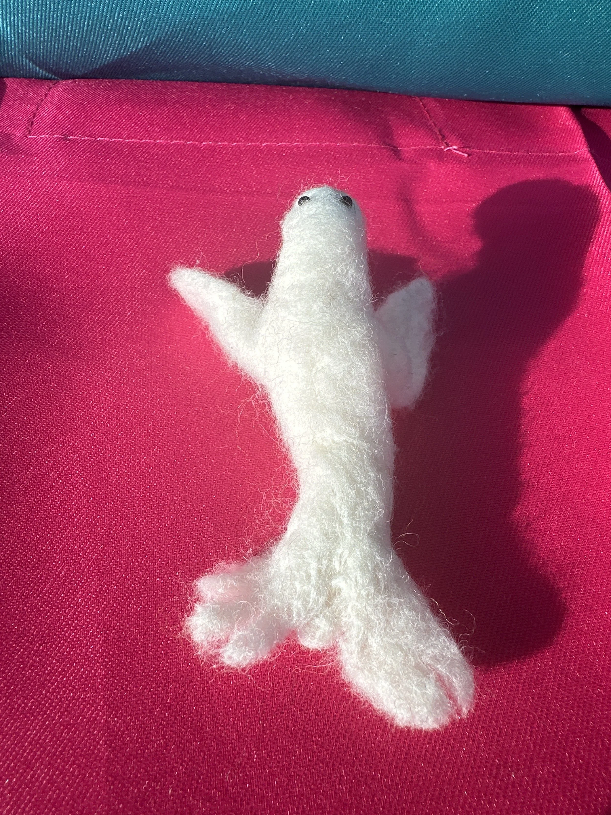 image_6209779 (5).JPG