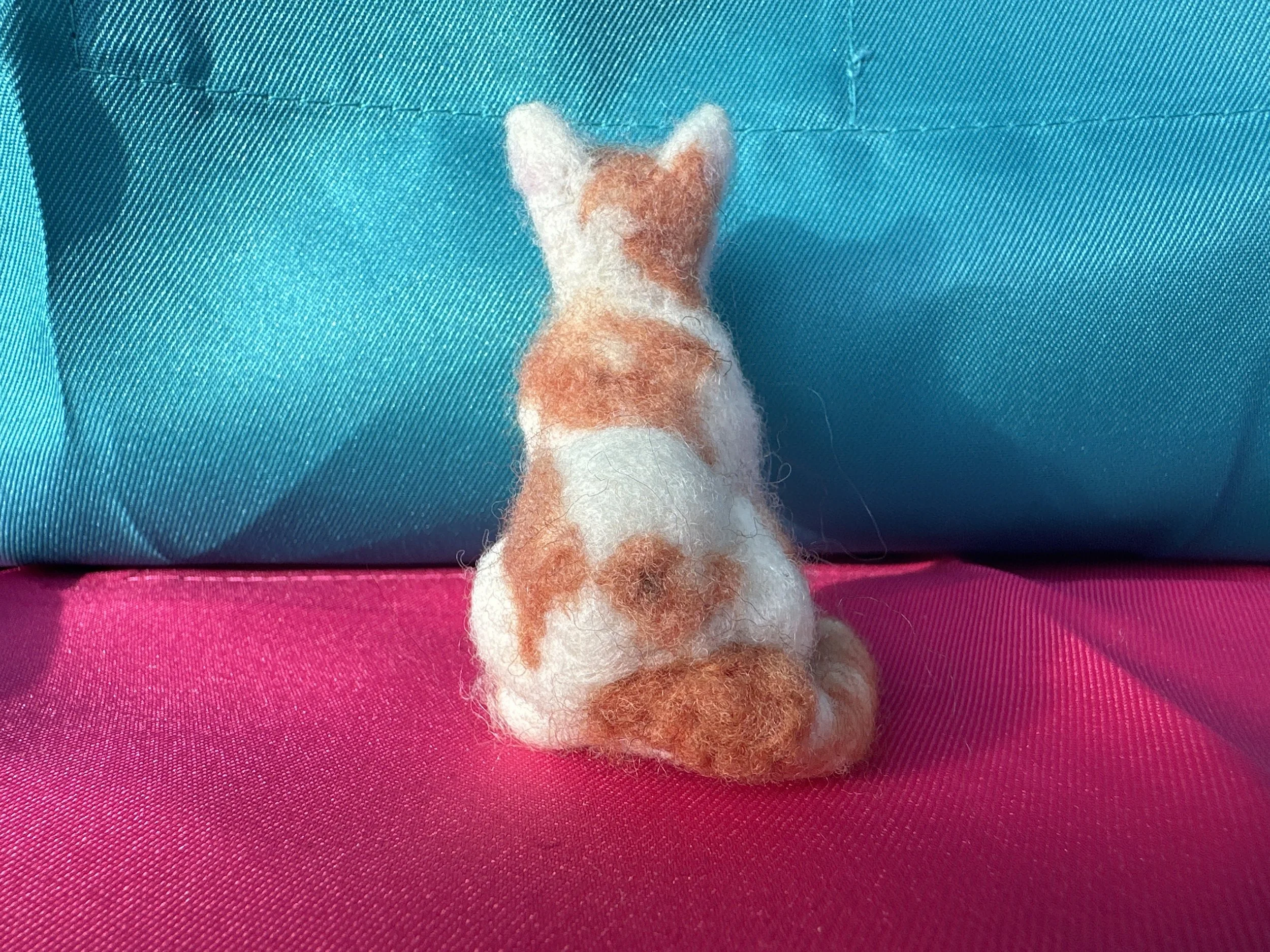 image_123650291 (16).JPG