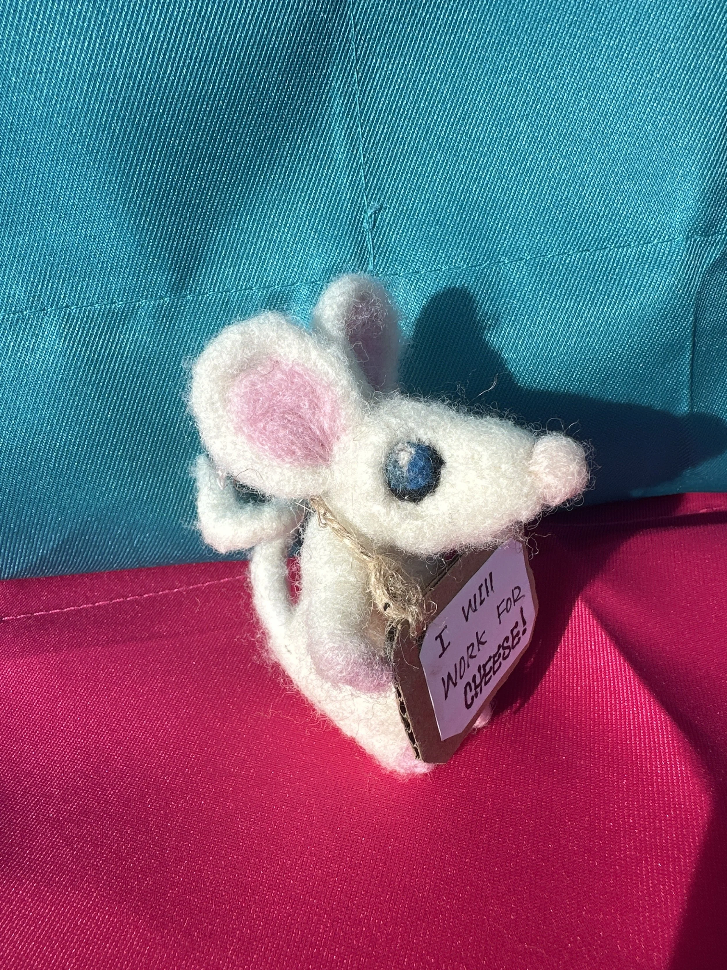 image_6209779 (3).JPG