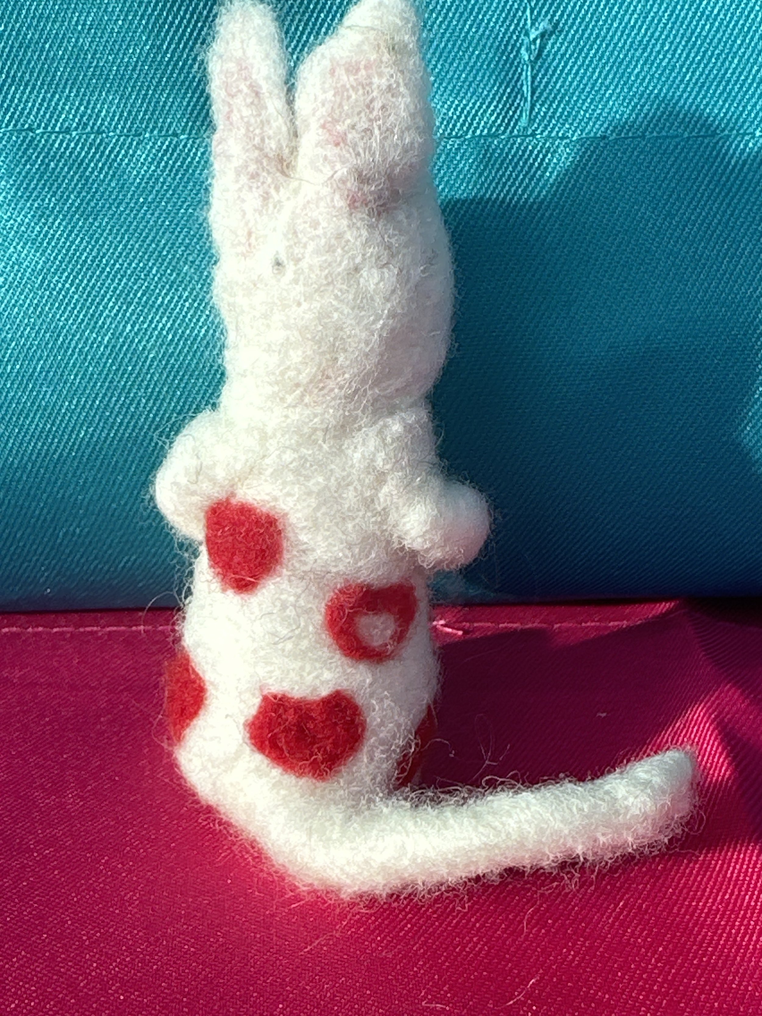 image_6209779 (5).JPG