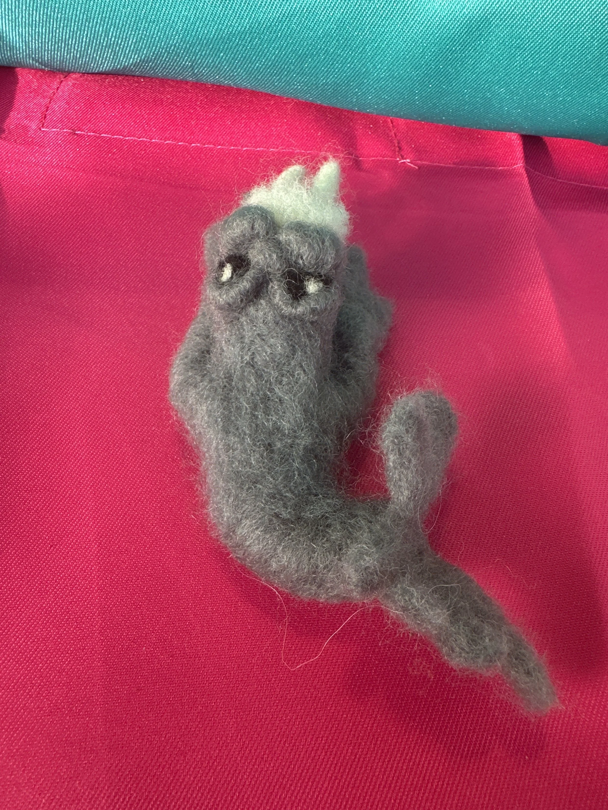 image_6209779 (9).JPG