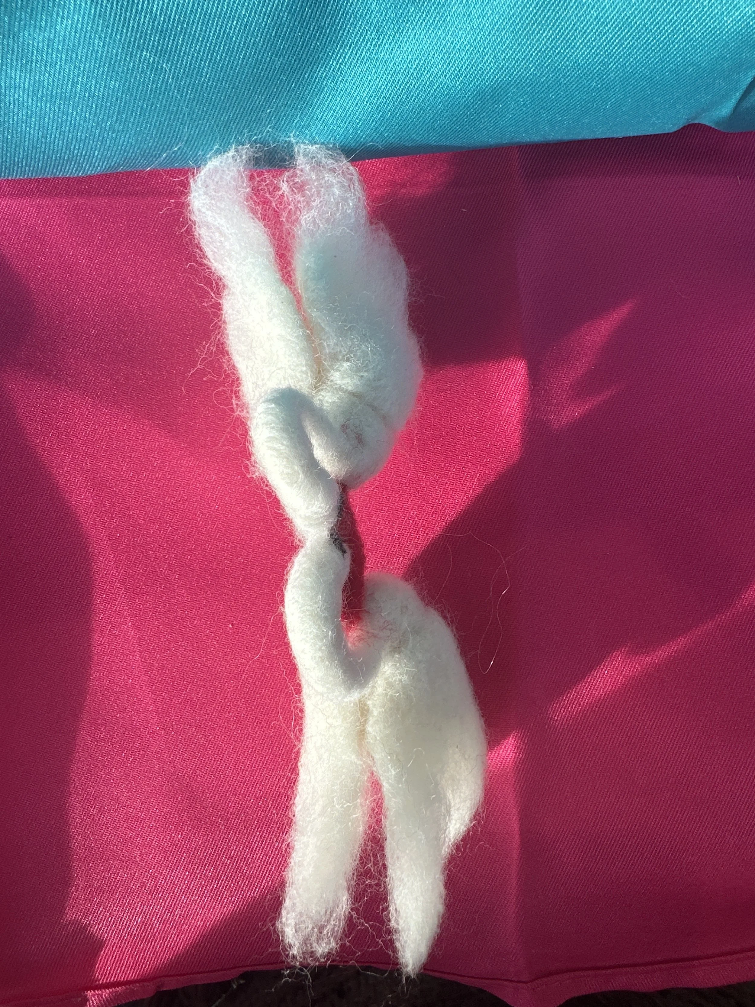 image_6209779 (4).JPG