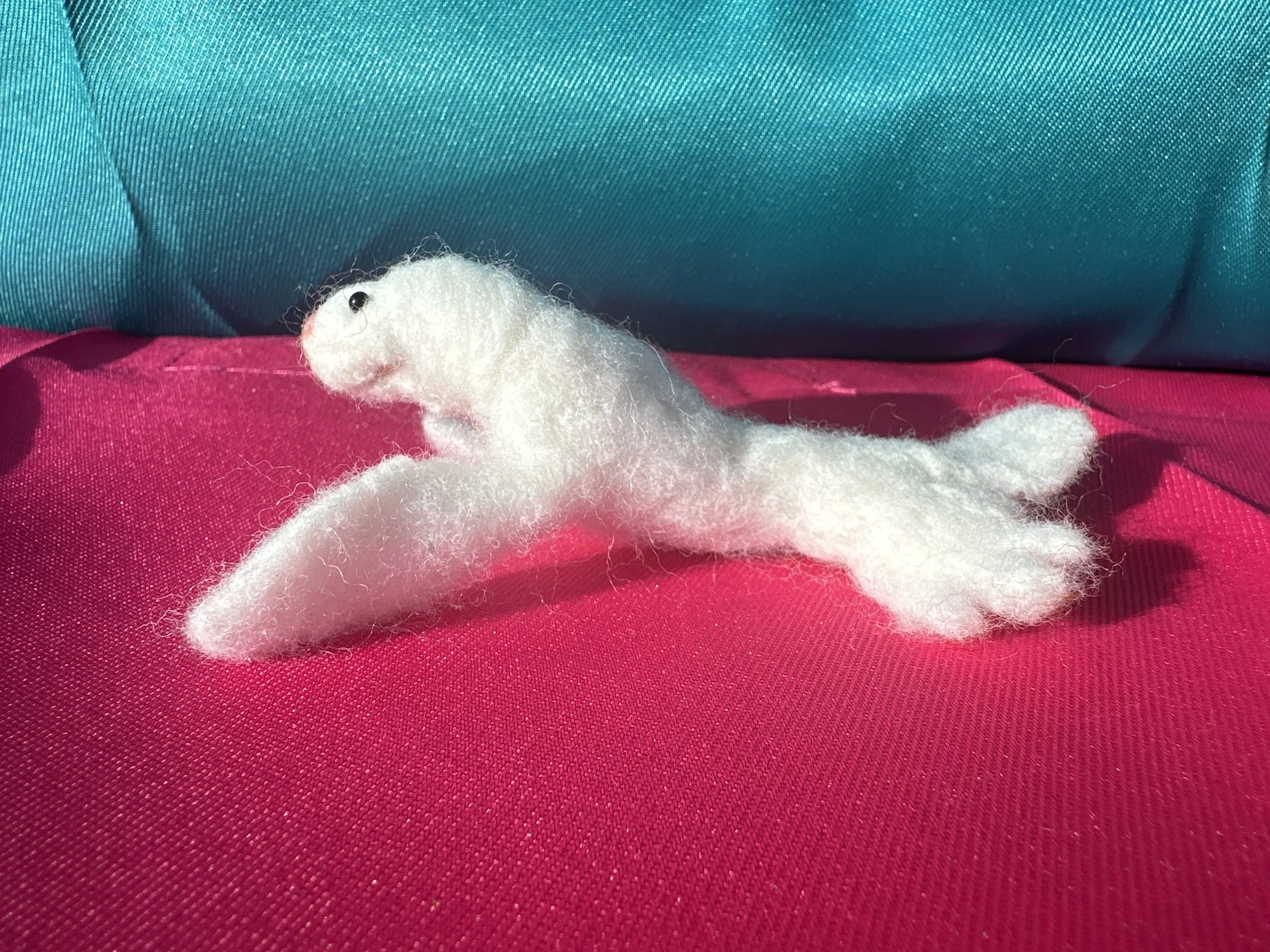 image_123650291 (1).JPG