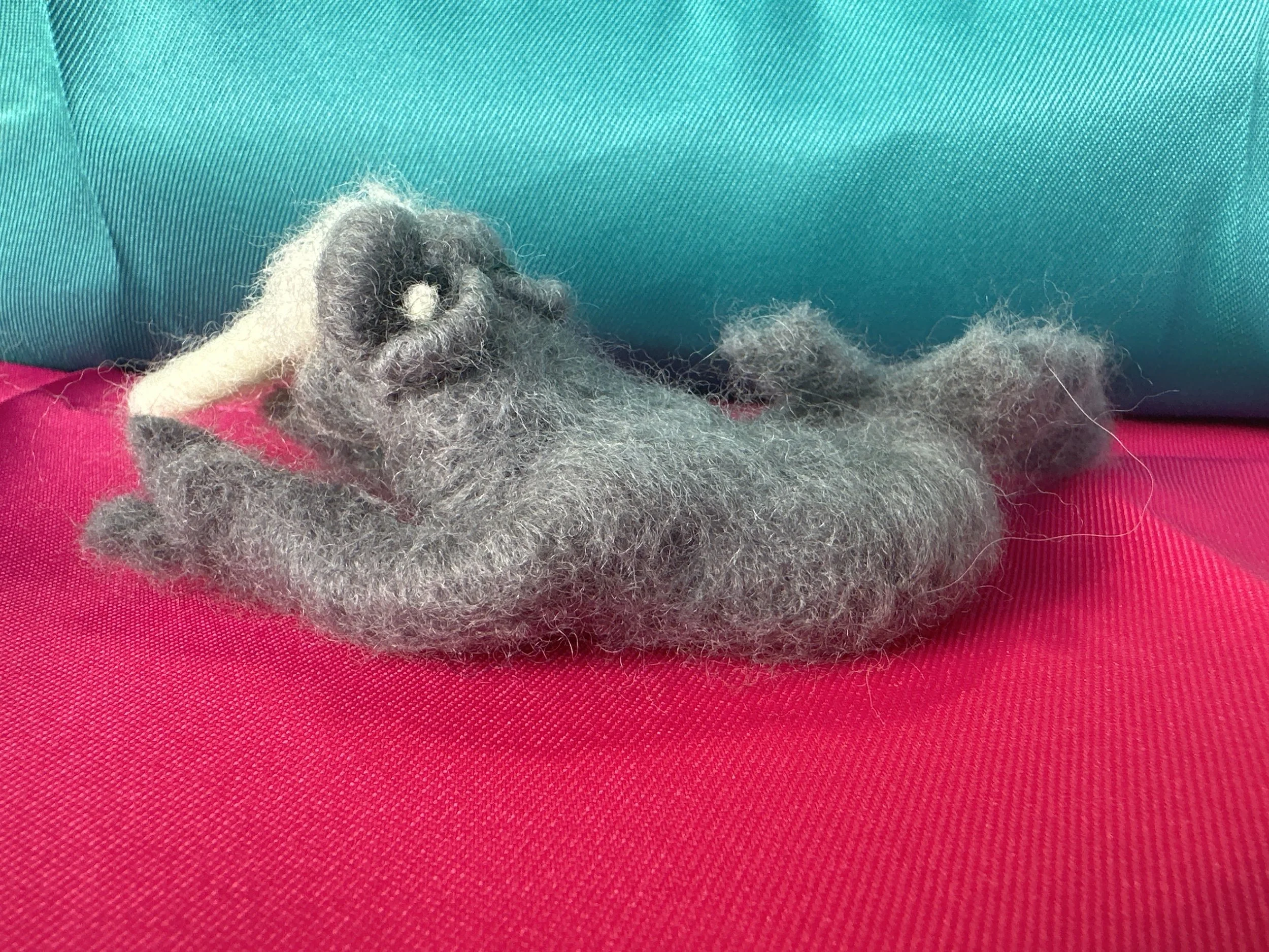 image_123650291 (4).JPG