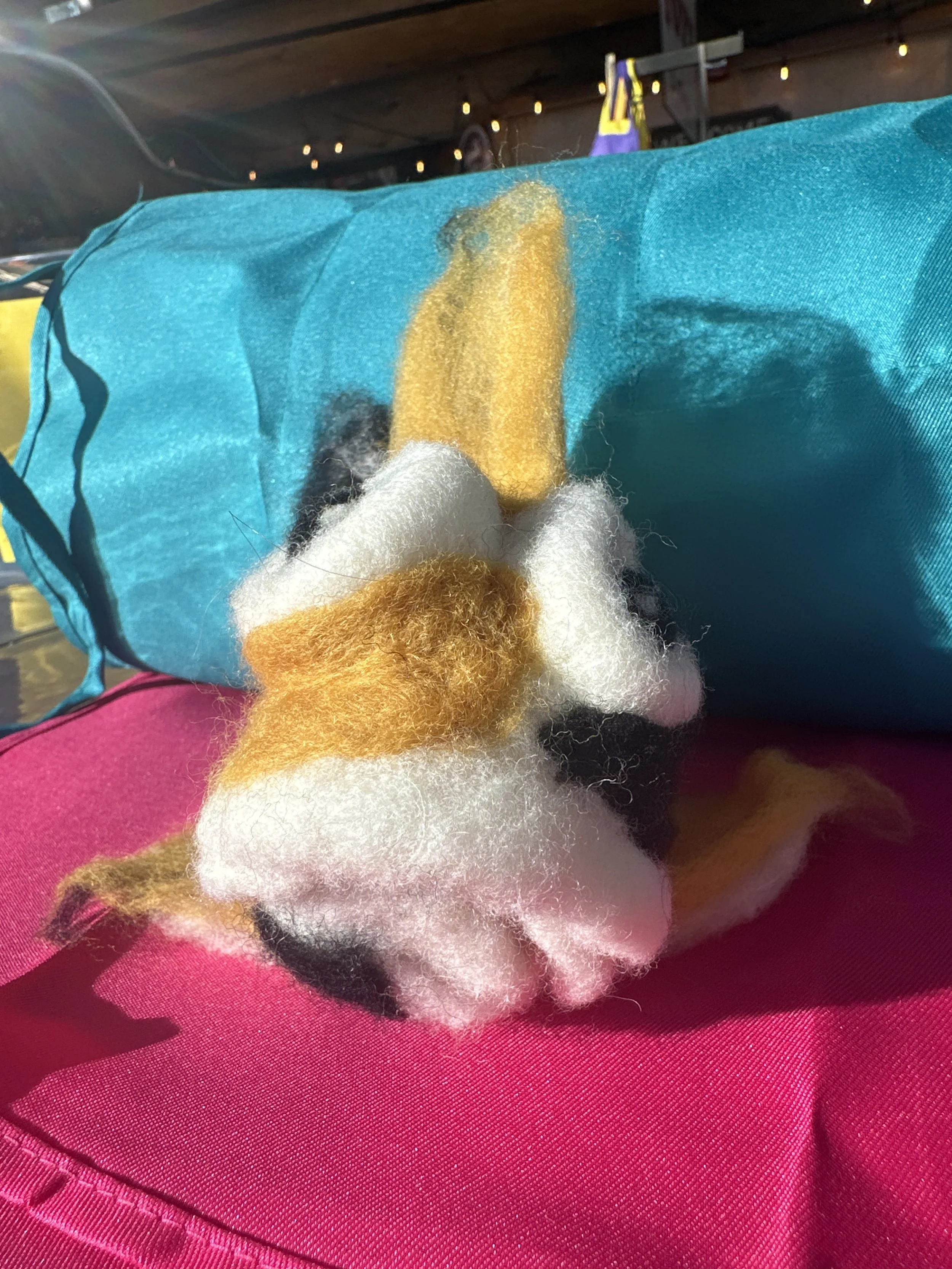 image_6209779 (20).JPG