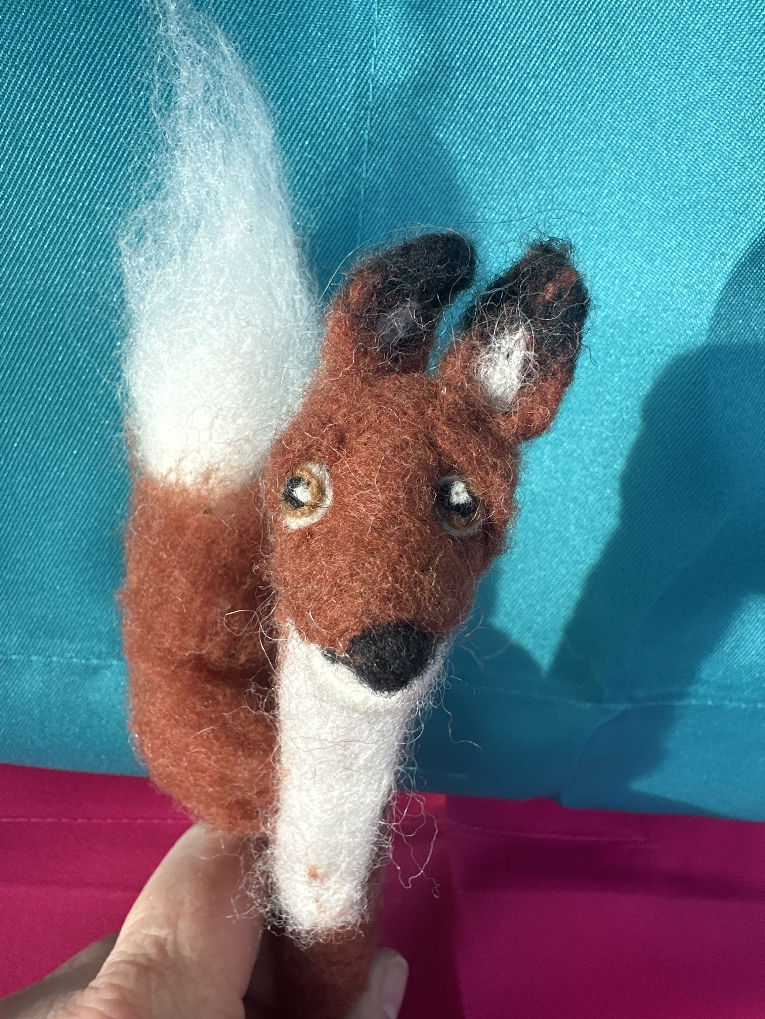 image_6209779 (12).JPG