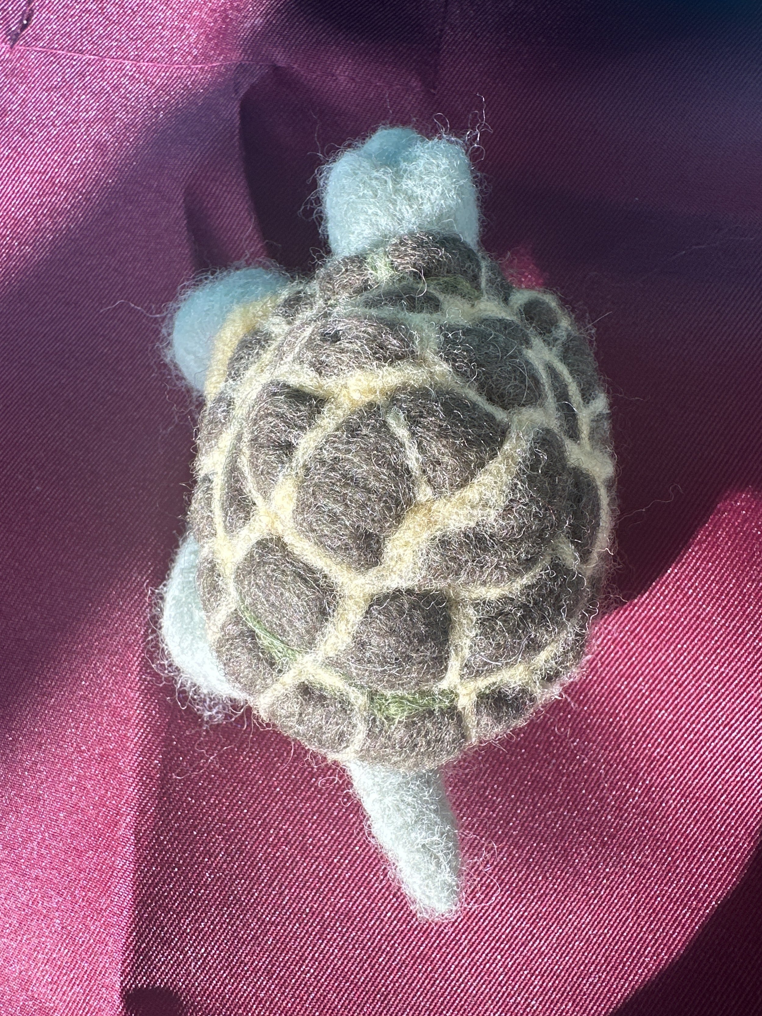 image_6209779 (31).JPG