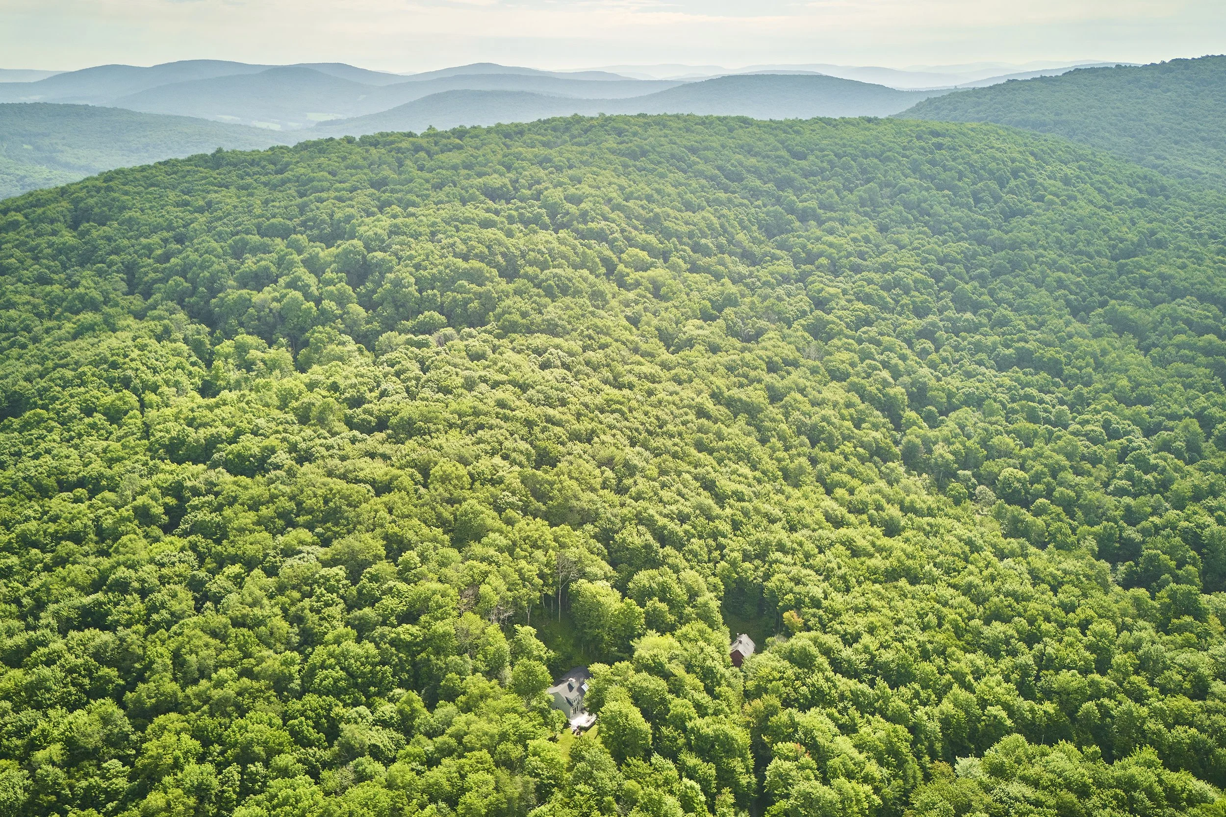 AF_260717_382CatskillDrive_898.jpg