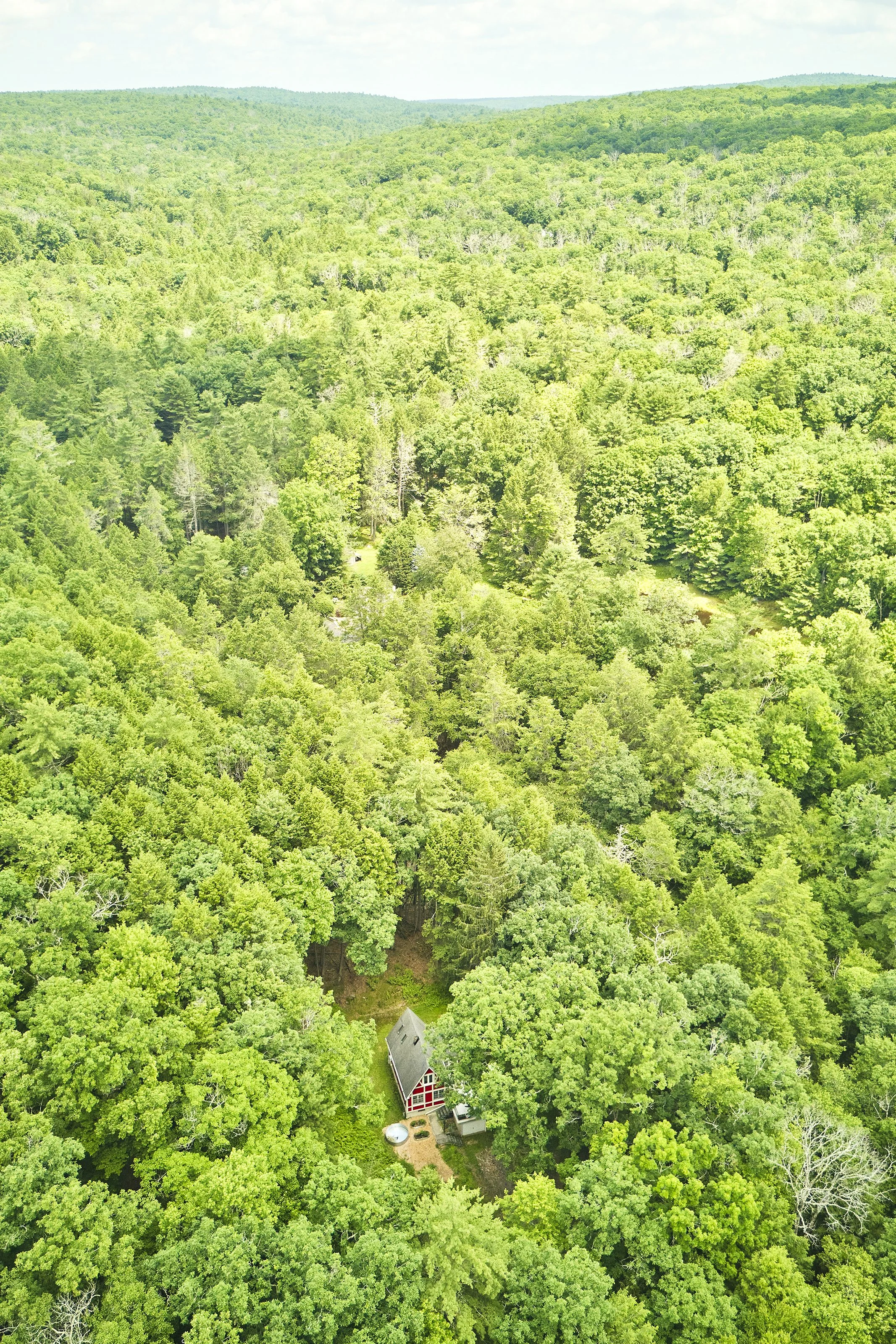 AF_260709_488BlackForestRd_637.jpg