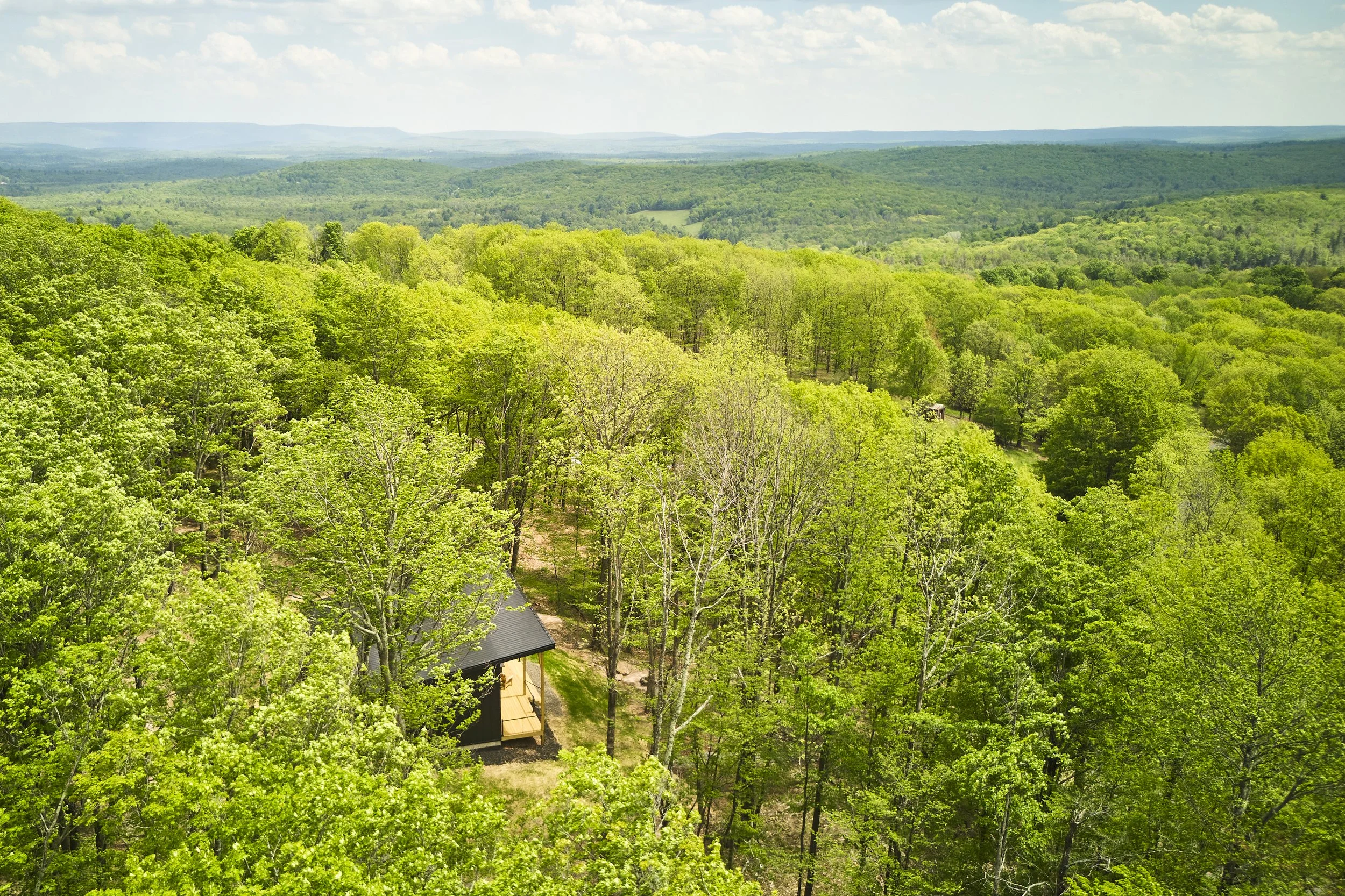 AF_260519_84SkylineDrive_433.jpg