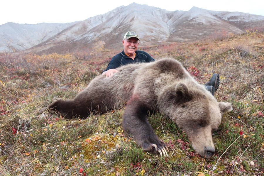 Grizzly bear guide: where they live, how they hunt and conservation -  Discover Wildlife