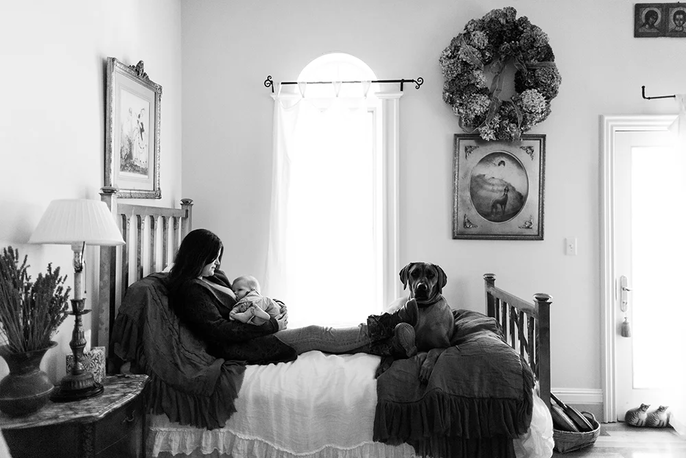 Isabella2016_0041.jpg