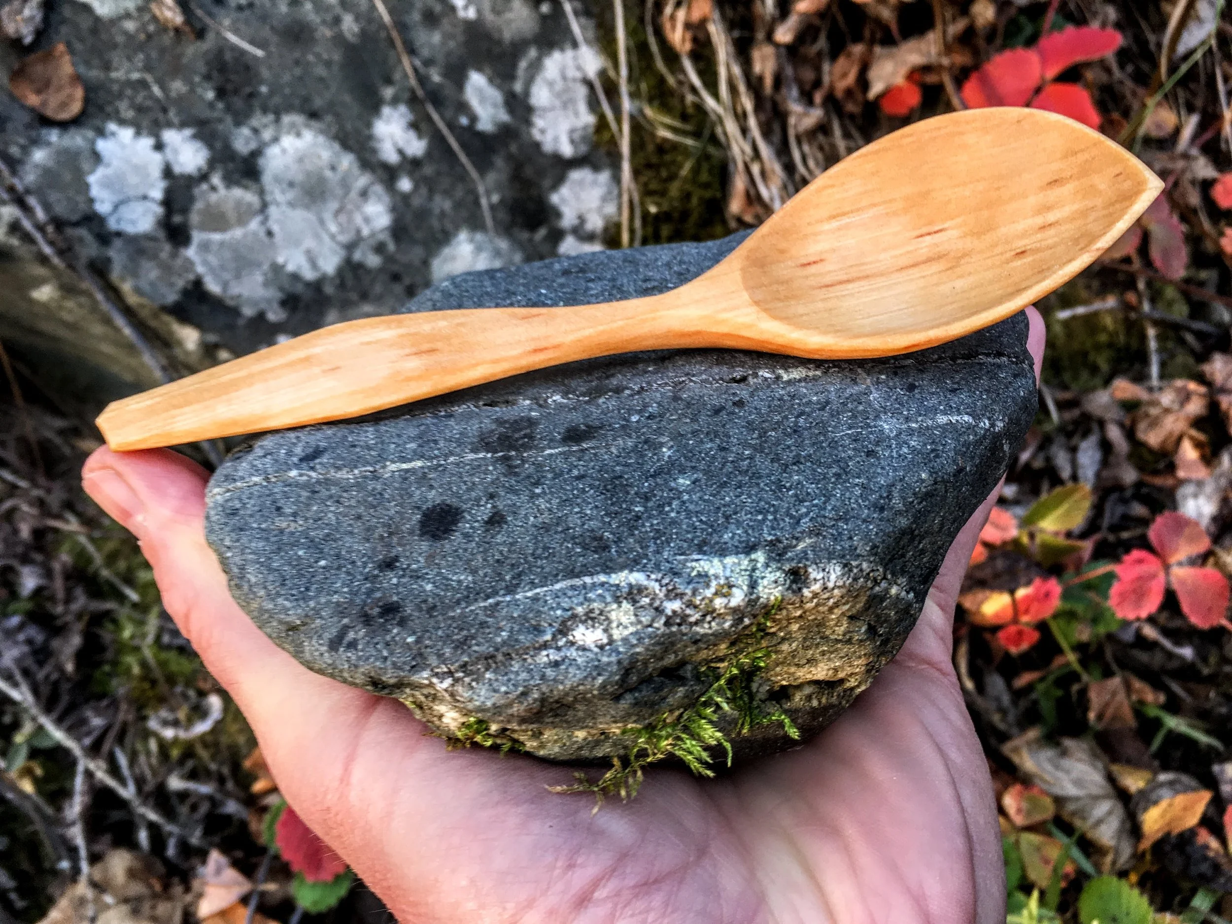 sleek little leaflet shaped spoon.  