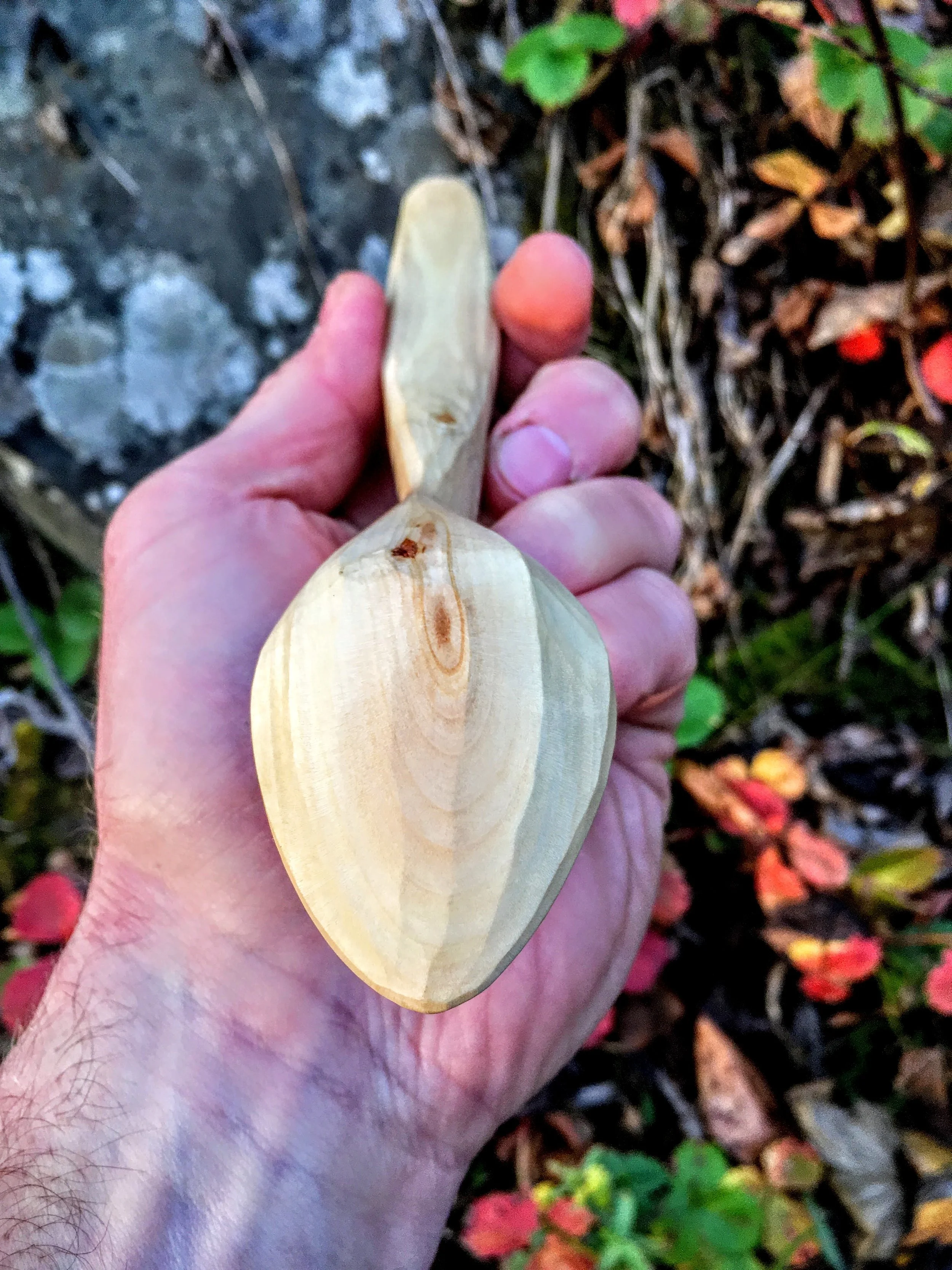 Wood spoon from a fruit tree.