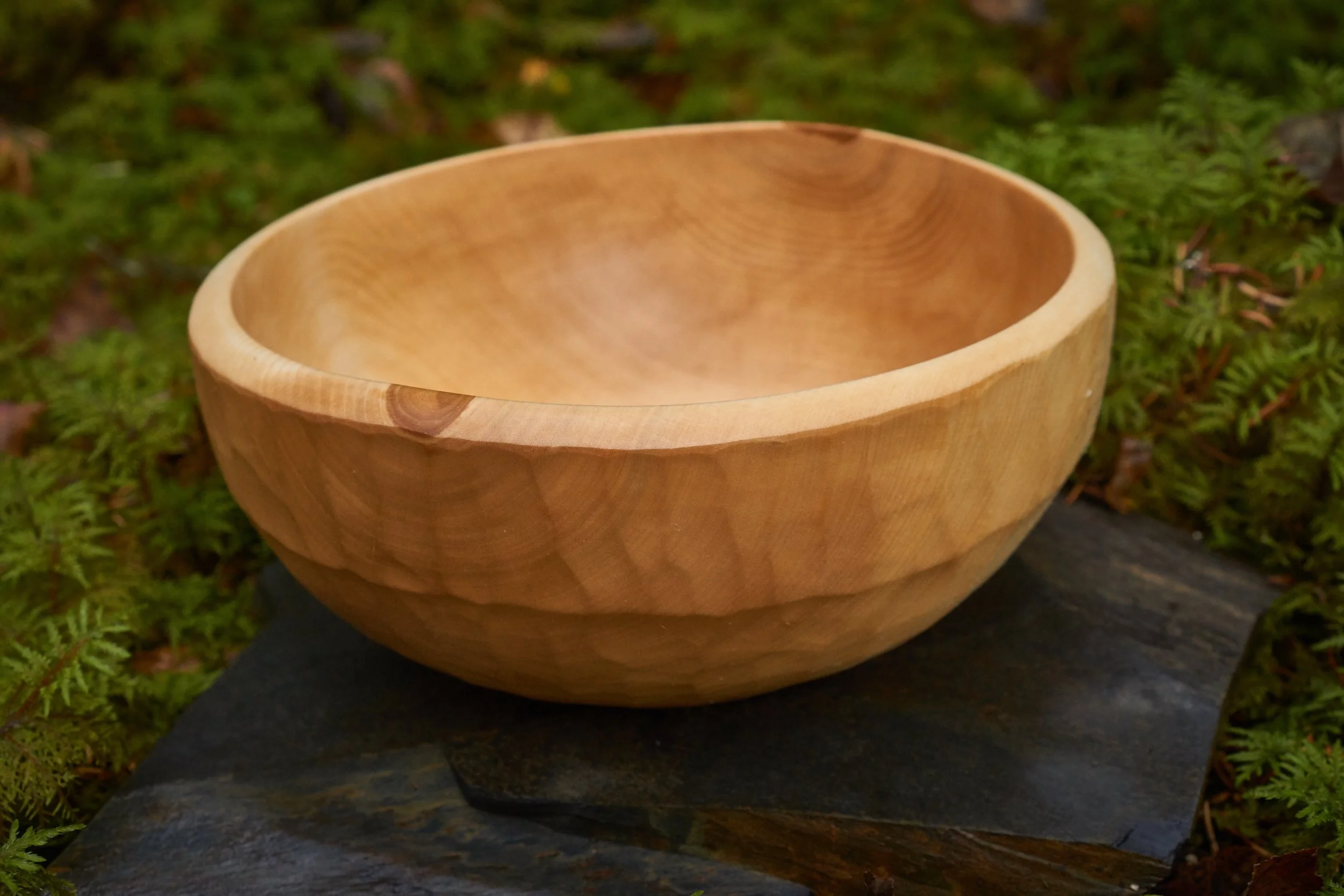 Hope Wood 2000 DSC08706.jpg