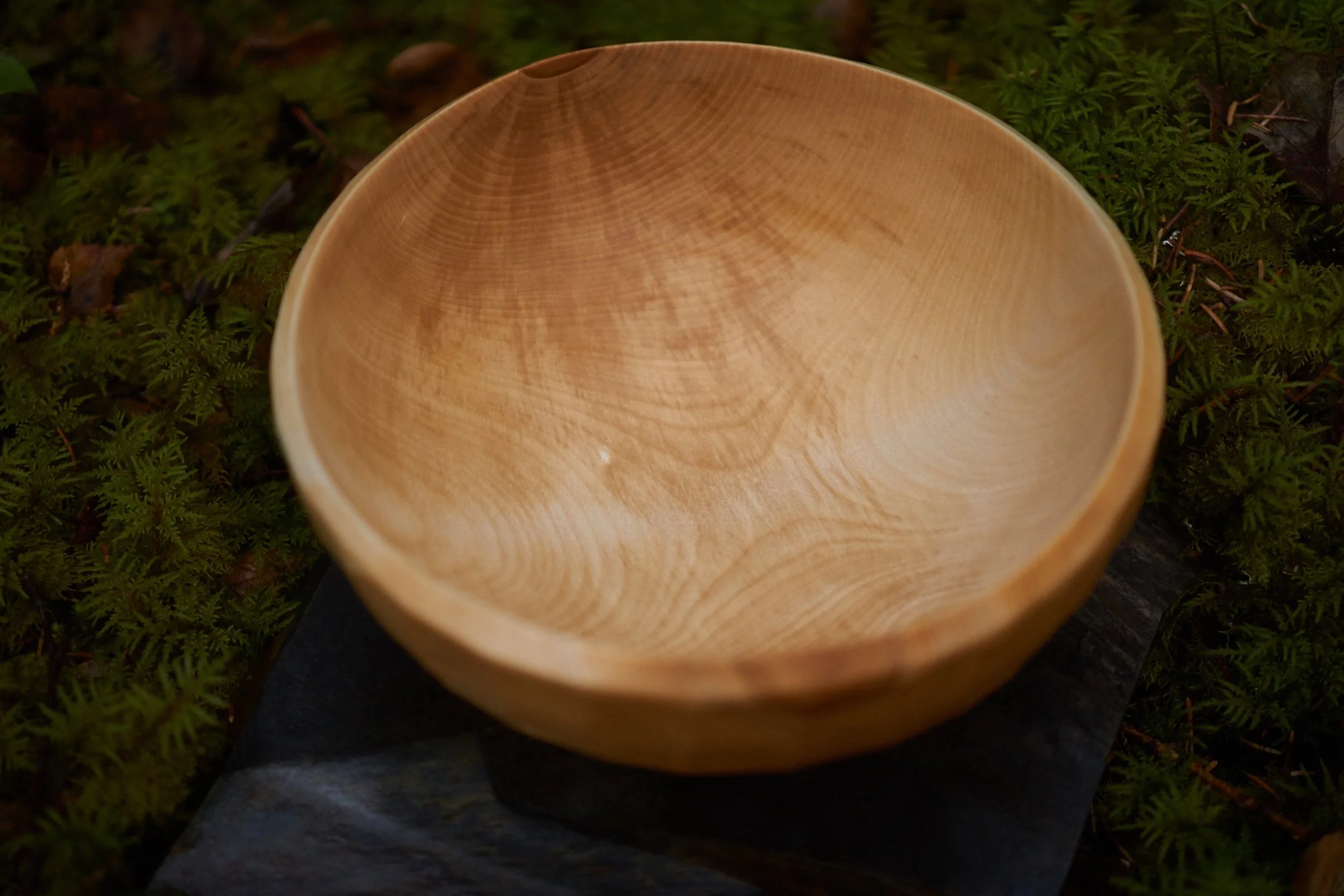 Hope Wood 2000 DSC08701.jpg