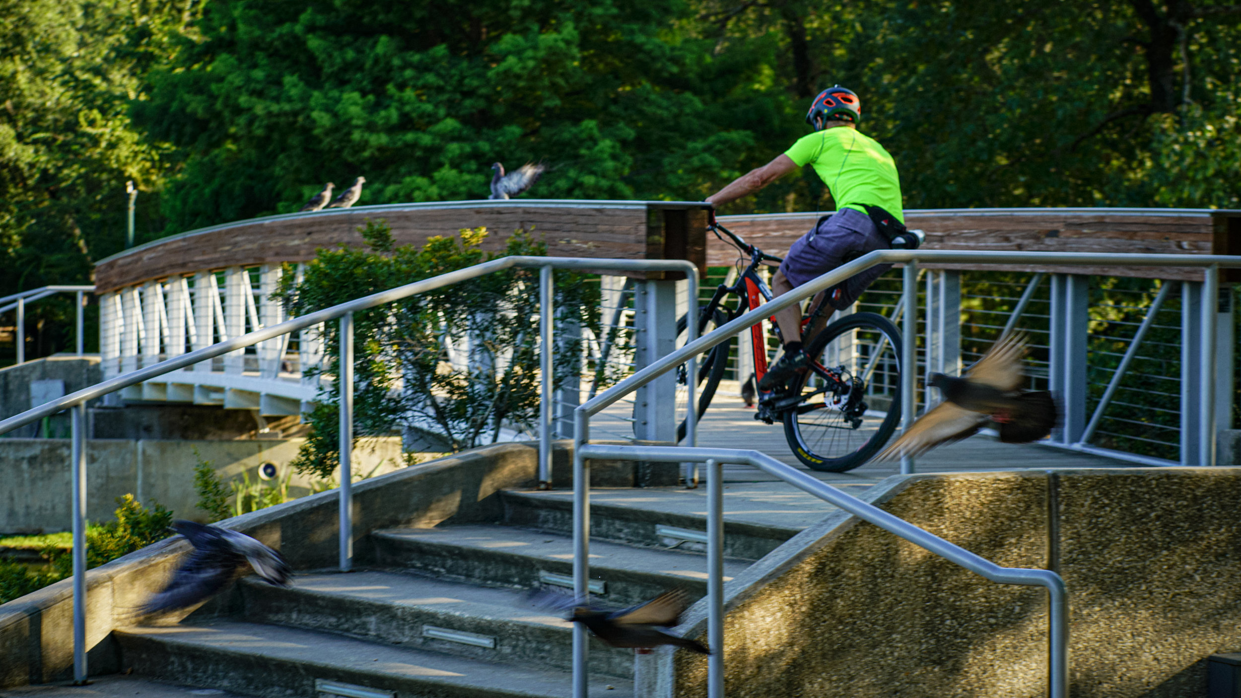 Mountain Biker - Hermann Park Bridge