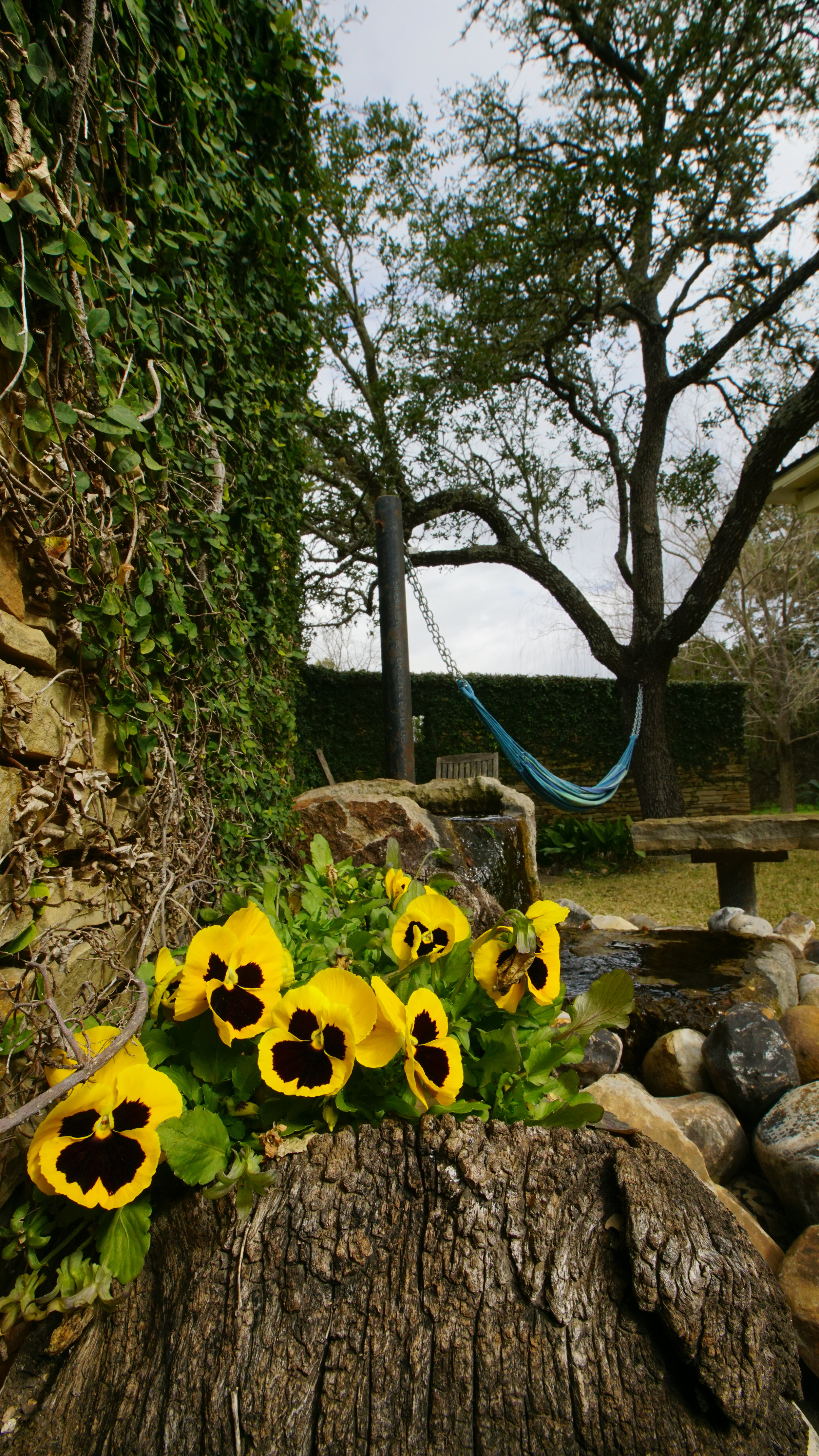Writing Retreat - Austin, TX