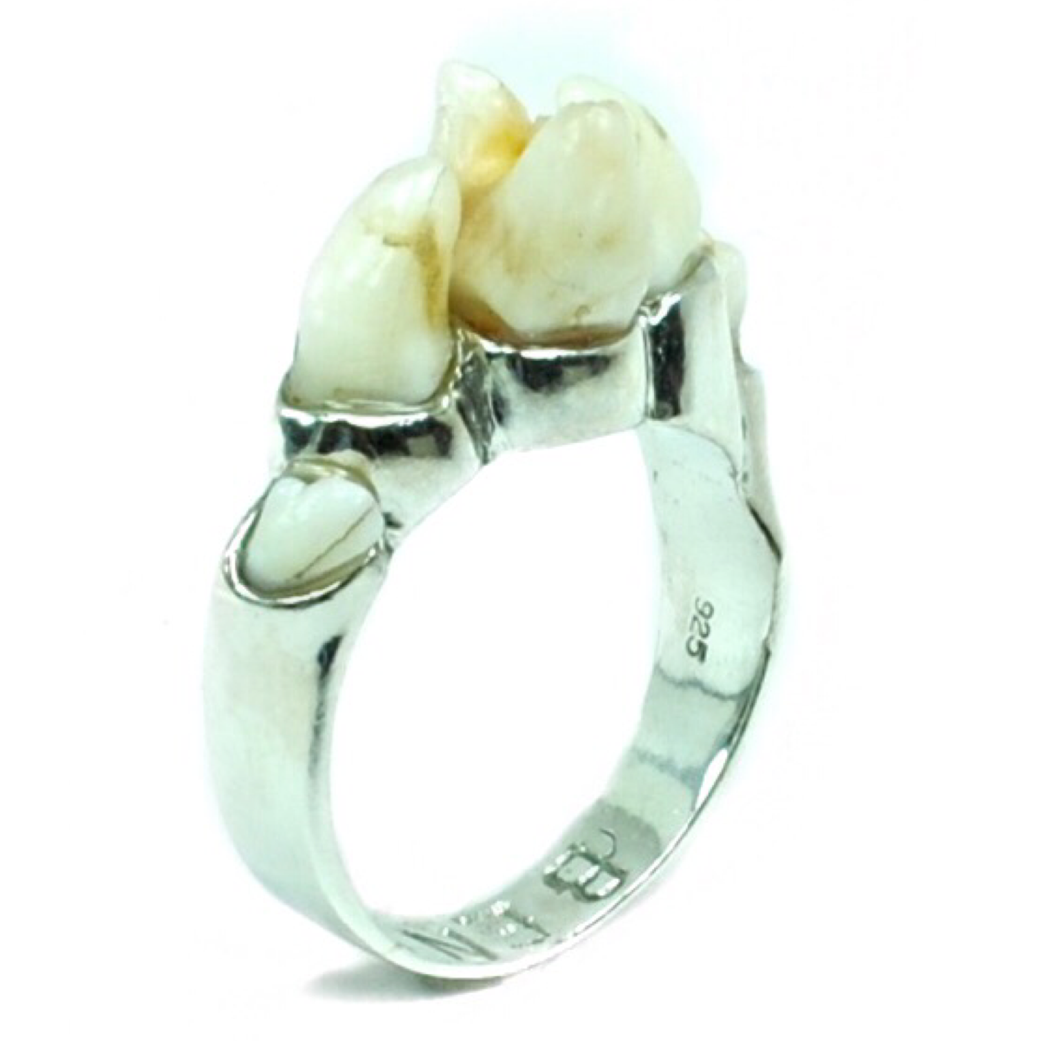 Julie's 5 Dog Tooth Ring for Ben