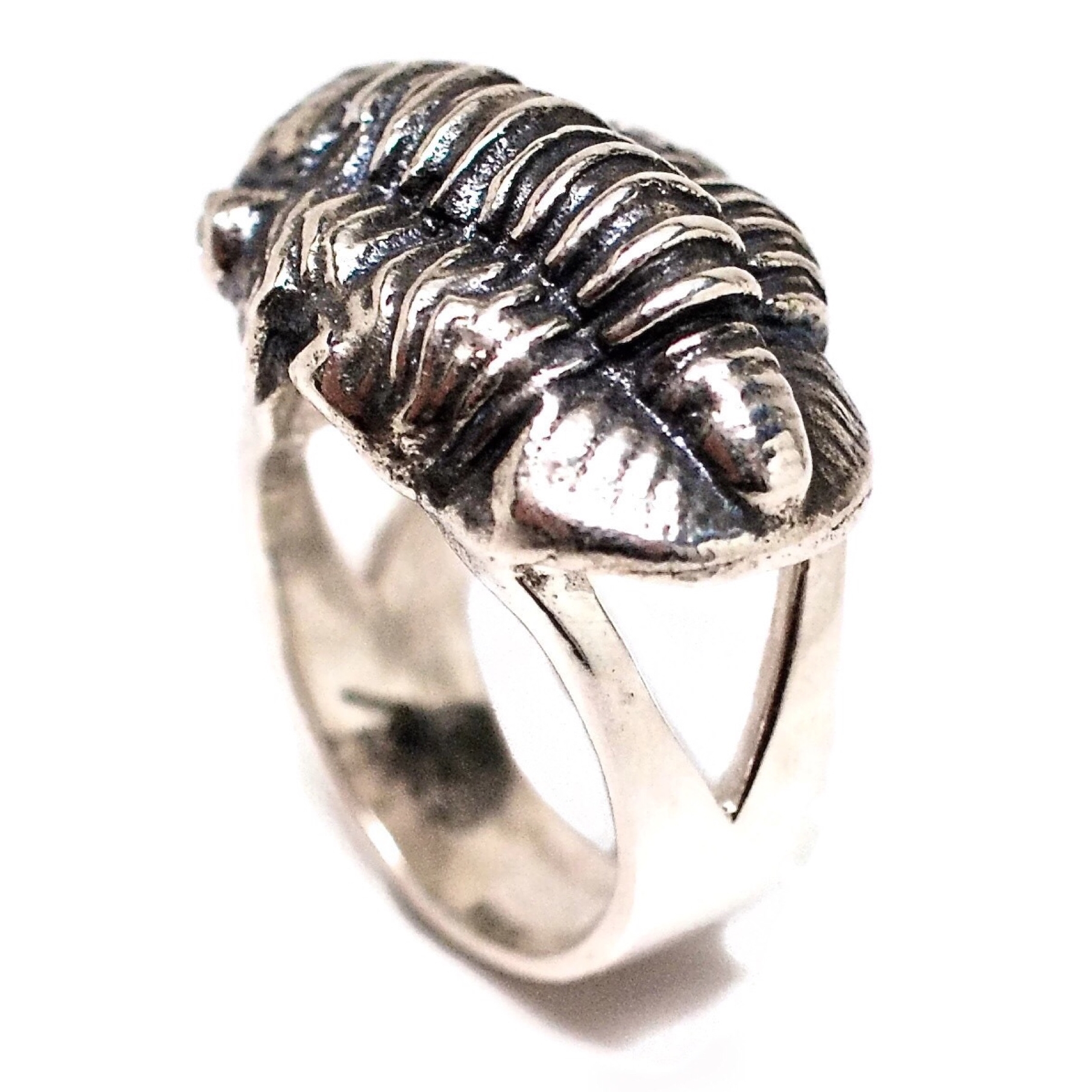 Utah Trilobite 925 Sterling Silver Adjustable Ring 1" Stunning Full Face 