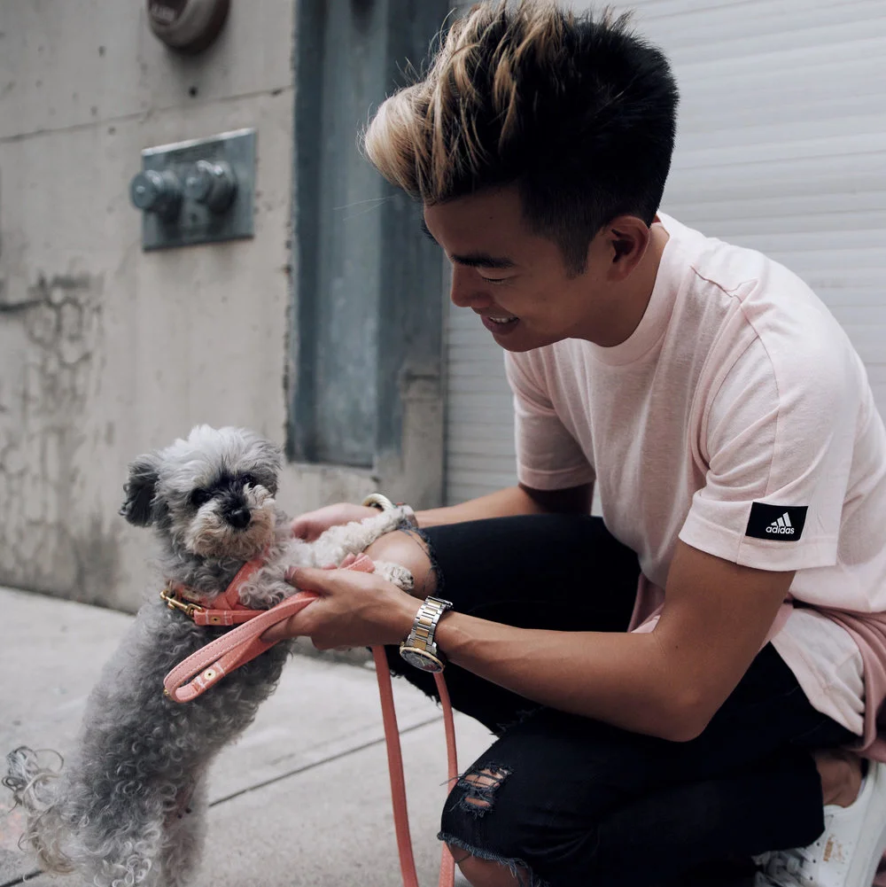 ff2a3-alexander-kenton-liang-walking-his-dog-sofia.jpg
