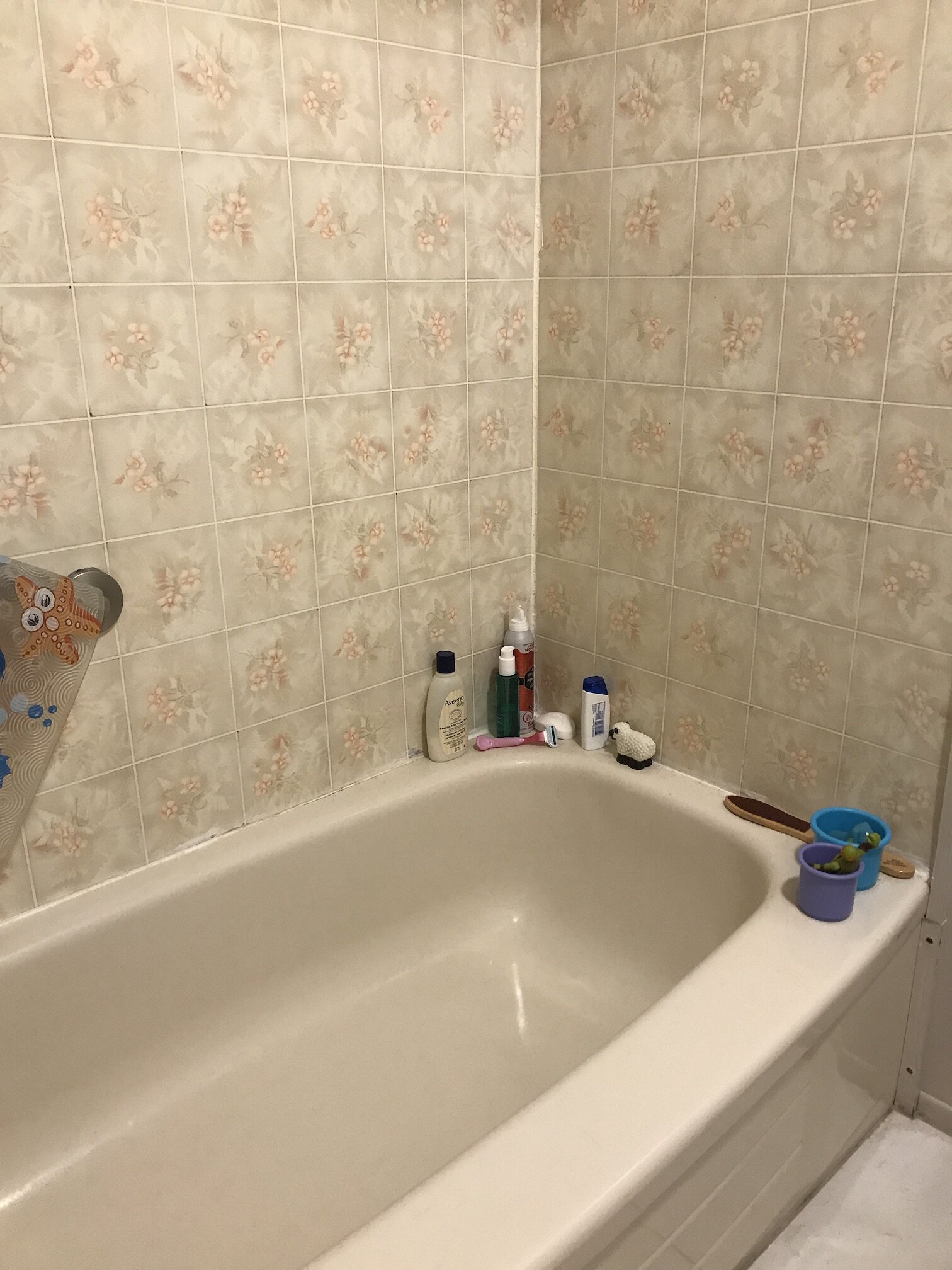 bathroom-before-bathtub.JPG