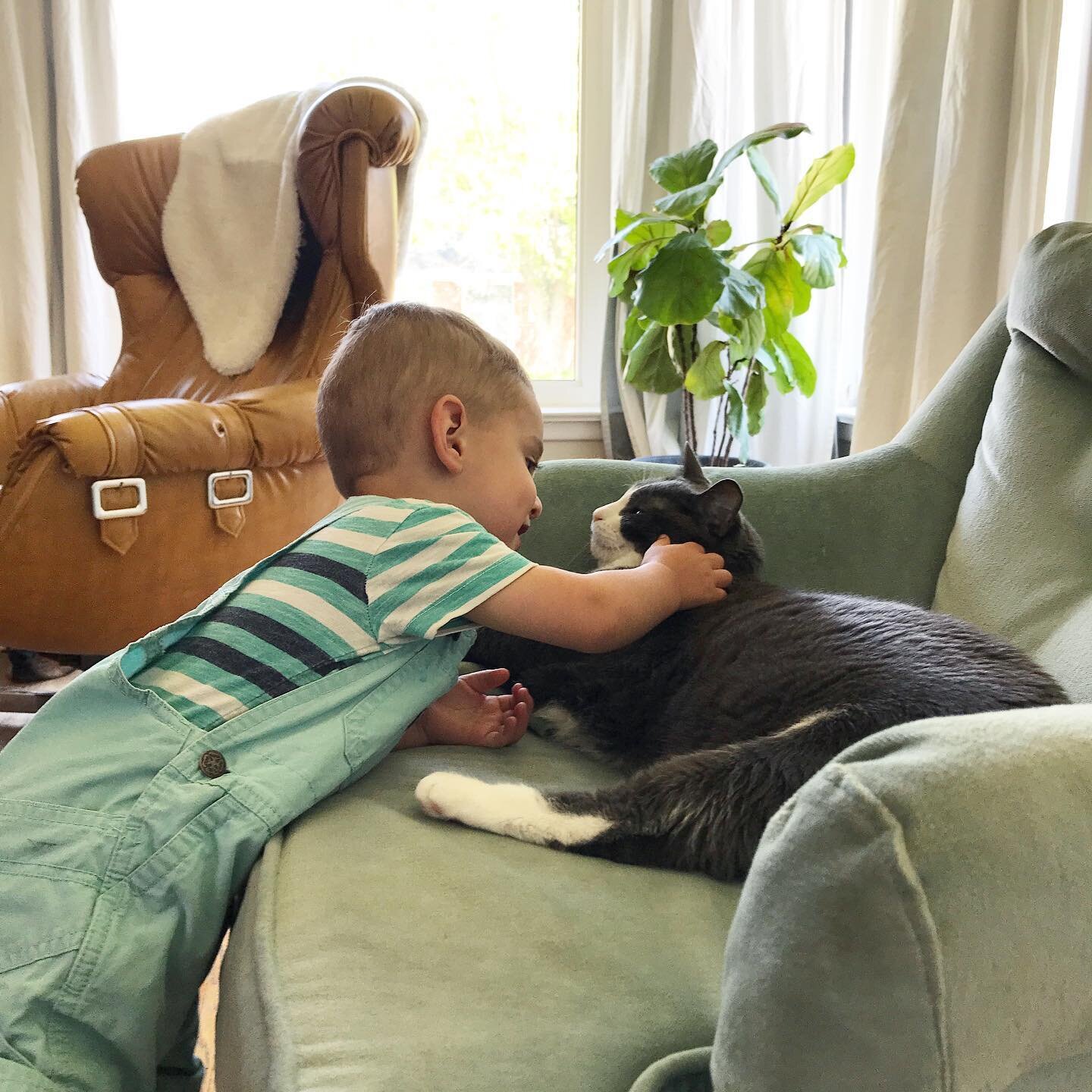 I just found out it&rsquo;s #NationalCatDay! Axel and Bryson have a special relationship. They cuddle often and Axel is always giving him kisses. Ax even has a cute nickname for Bryson &mdash; he calls him &ldquo;Beece,&rdquo; it&rsquo;s so cute. Axe