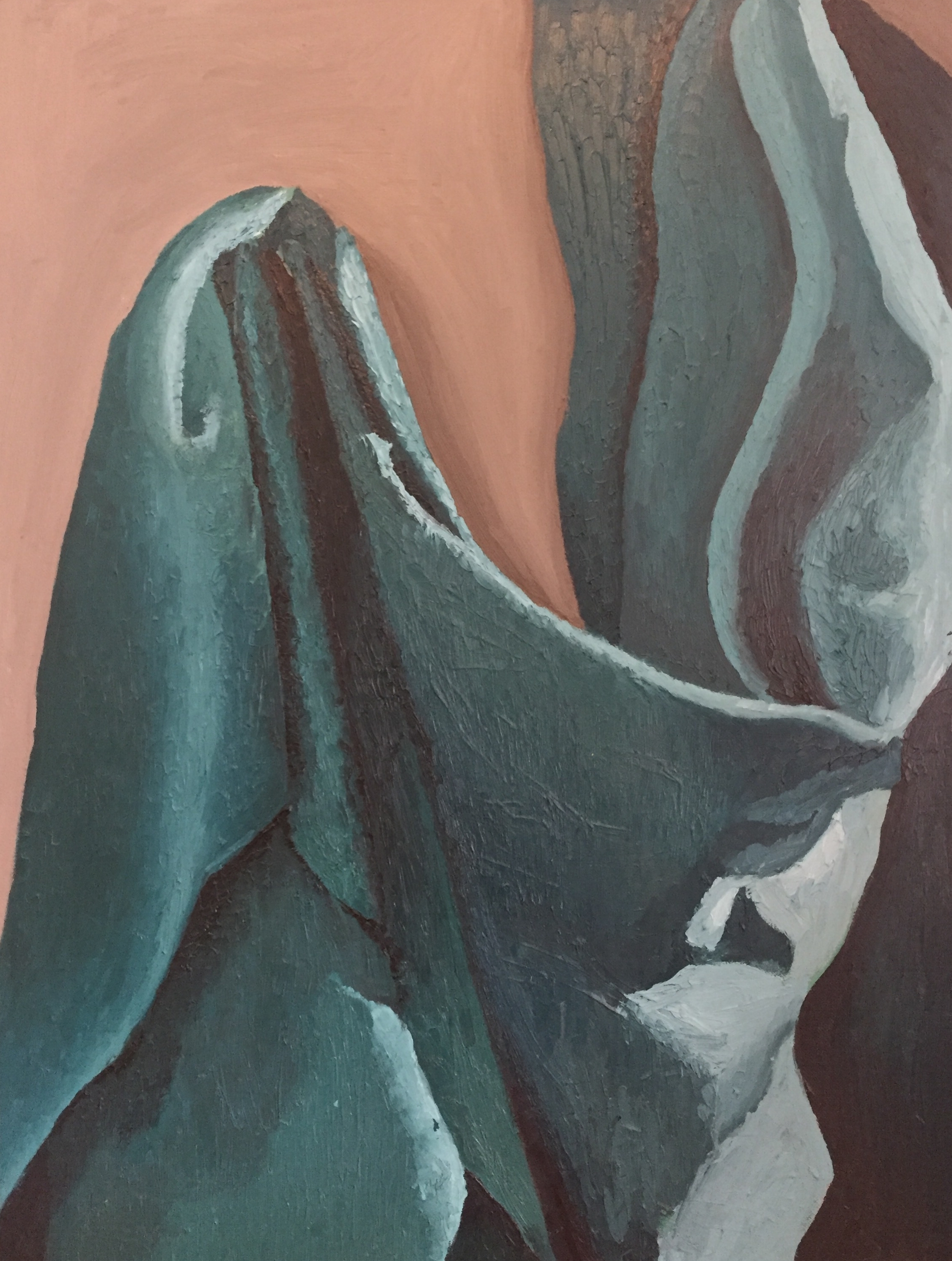 Drapery Study - 2011