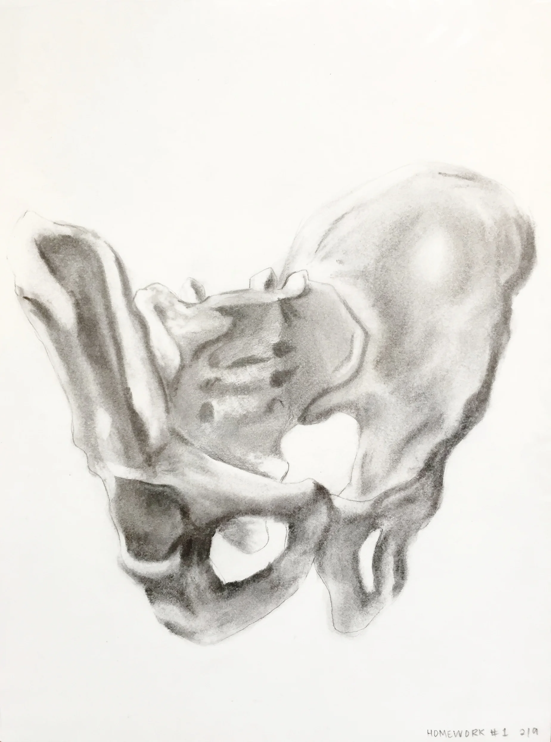 Pelvis Sketch (2011)