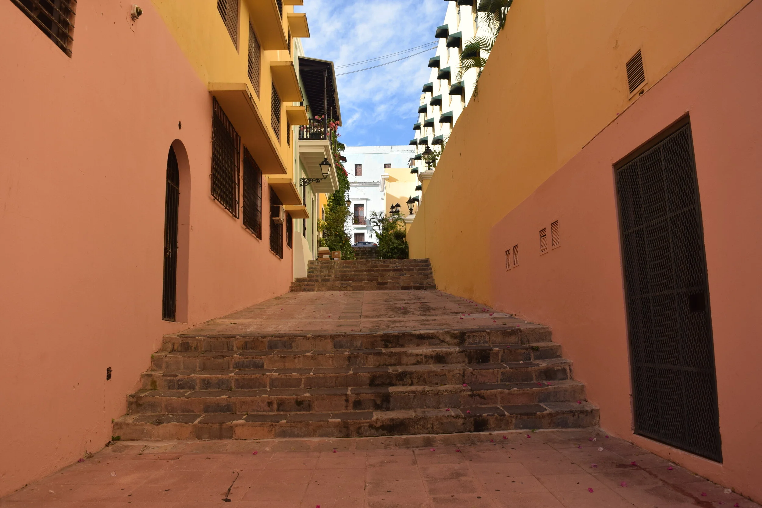 DSC_3335.JPG