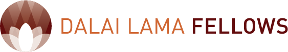 DLF_logo_rgb_standard.png