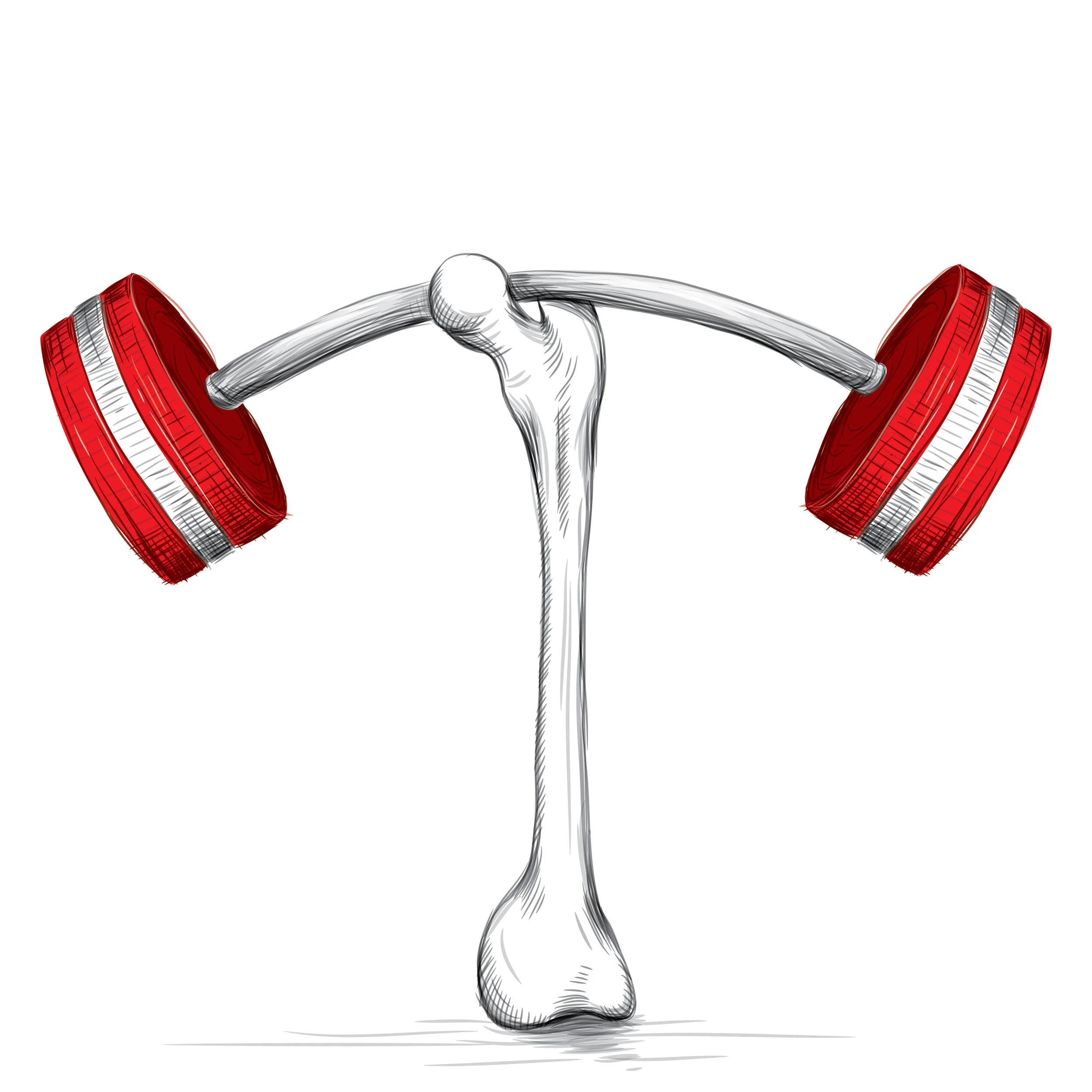 Osteoporosis Strong Bone.jpg